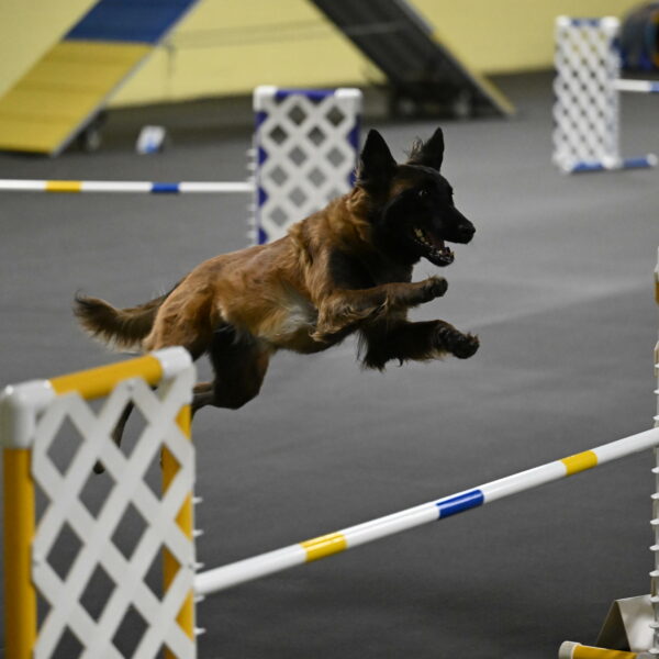 Clever-Telencio-07790