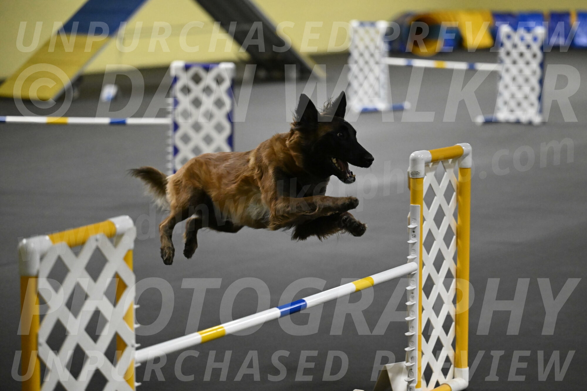 Clever-Telencio-07791