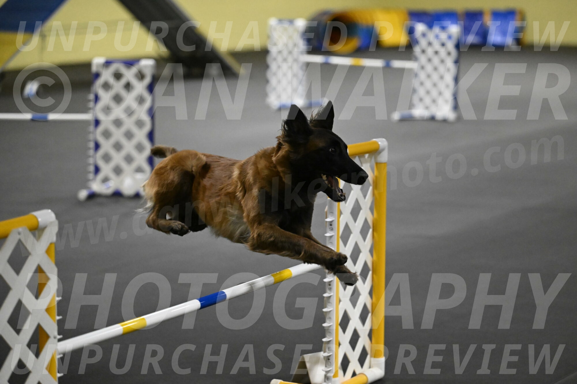 Clever-Telencio-07792