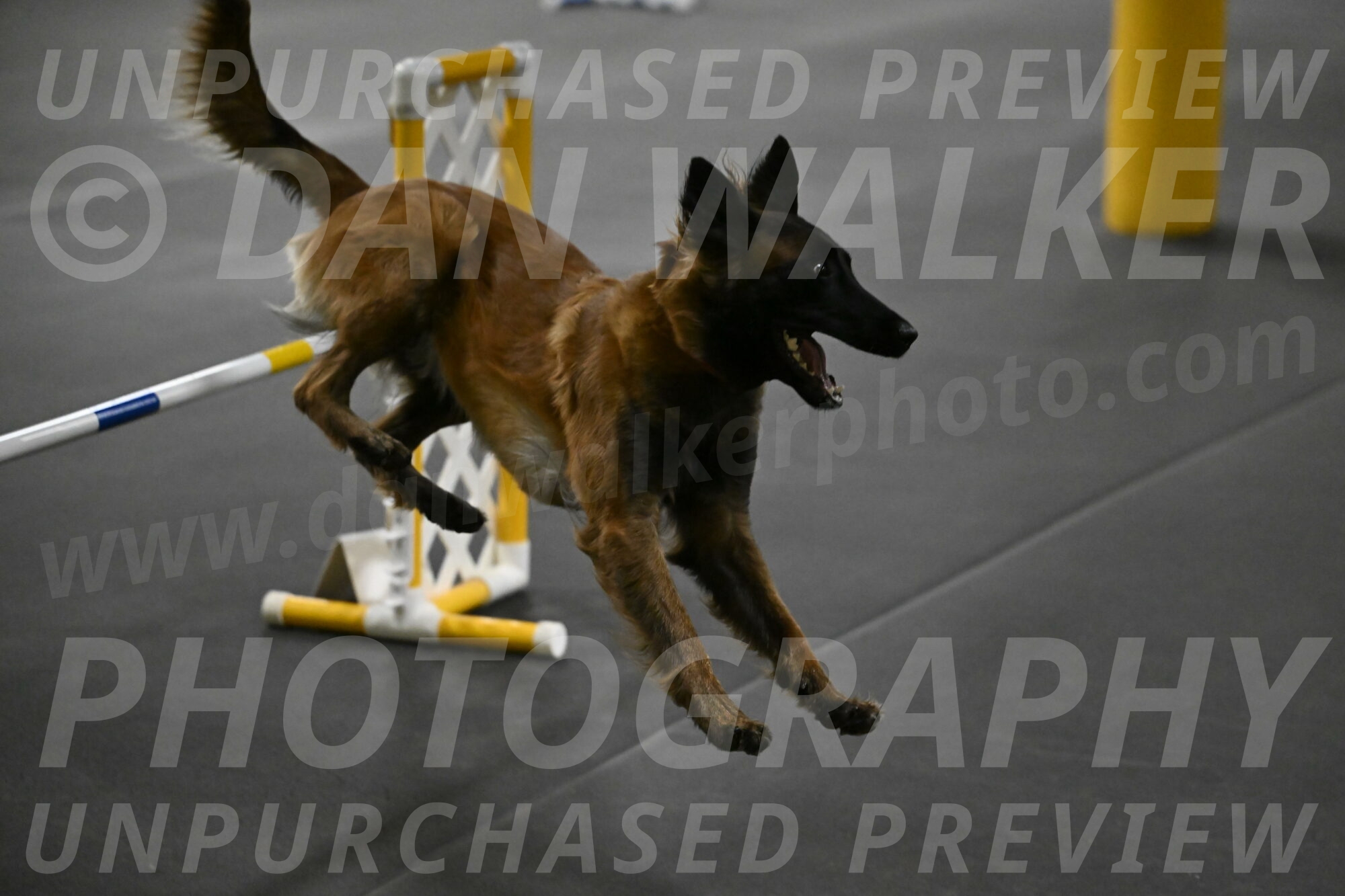 Clever-Telencio-07794