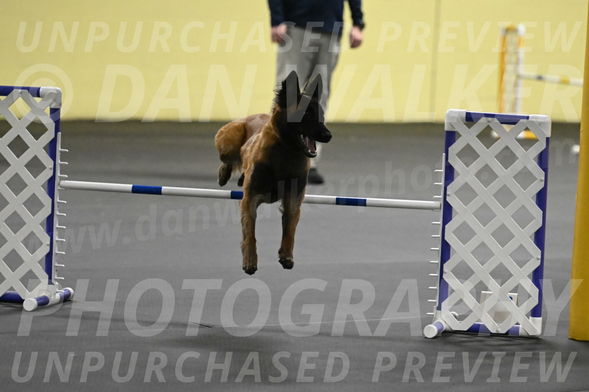 Clever-Telencio-07803