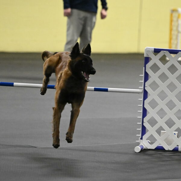 Clever-Telencio-07804