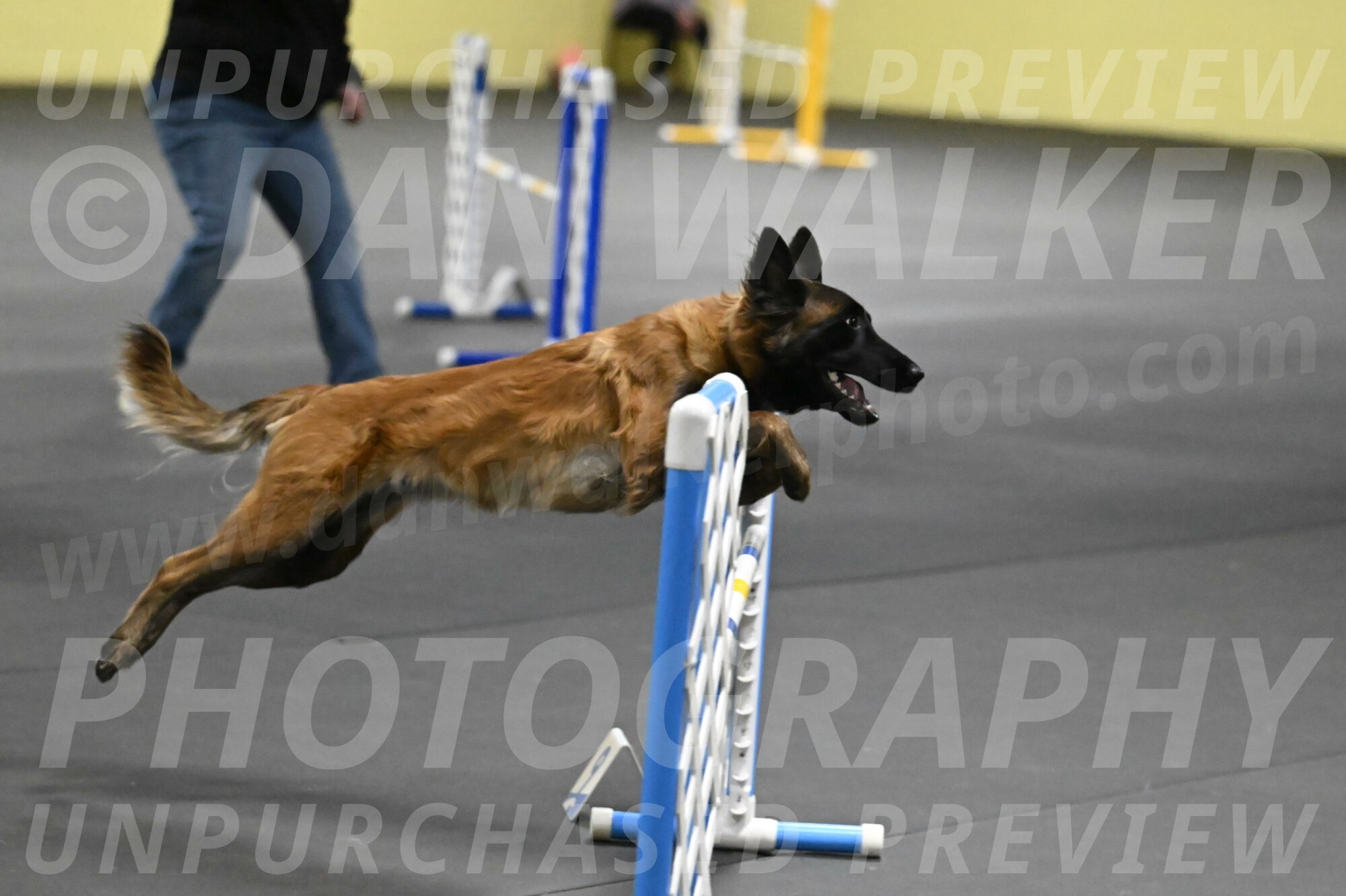 Clever-Telencio-07807