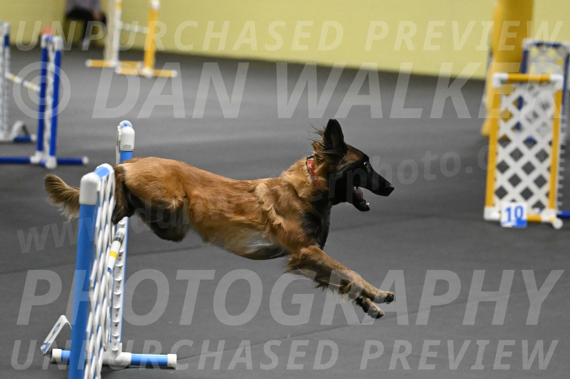 Clever-Telencio-07809