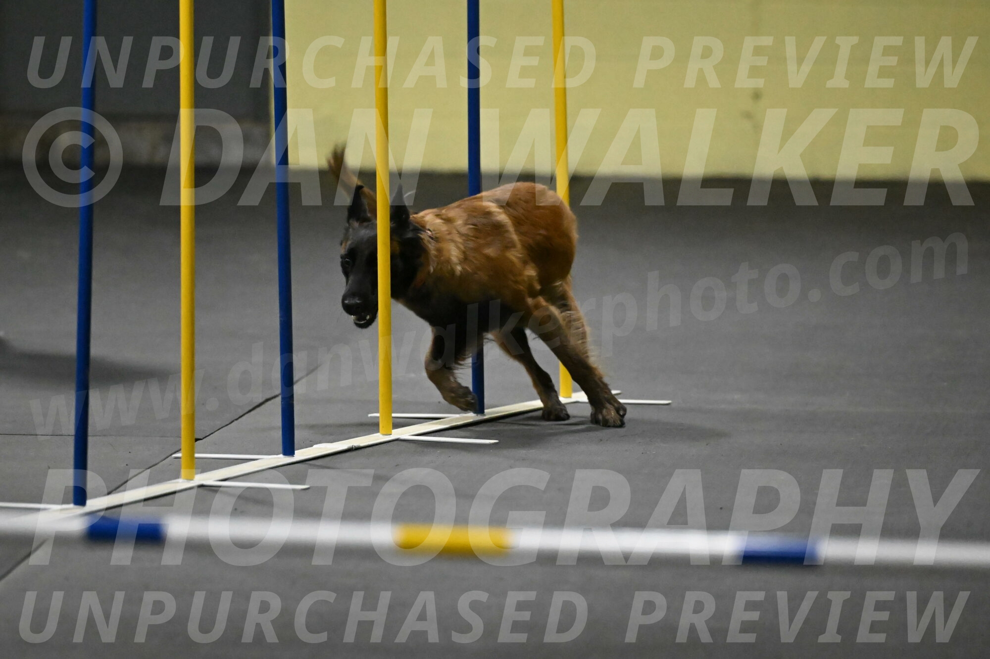 Clever-Telencio-07813