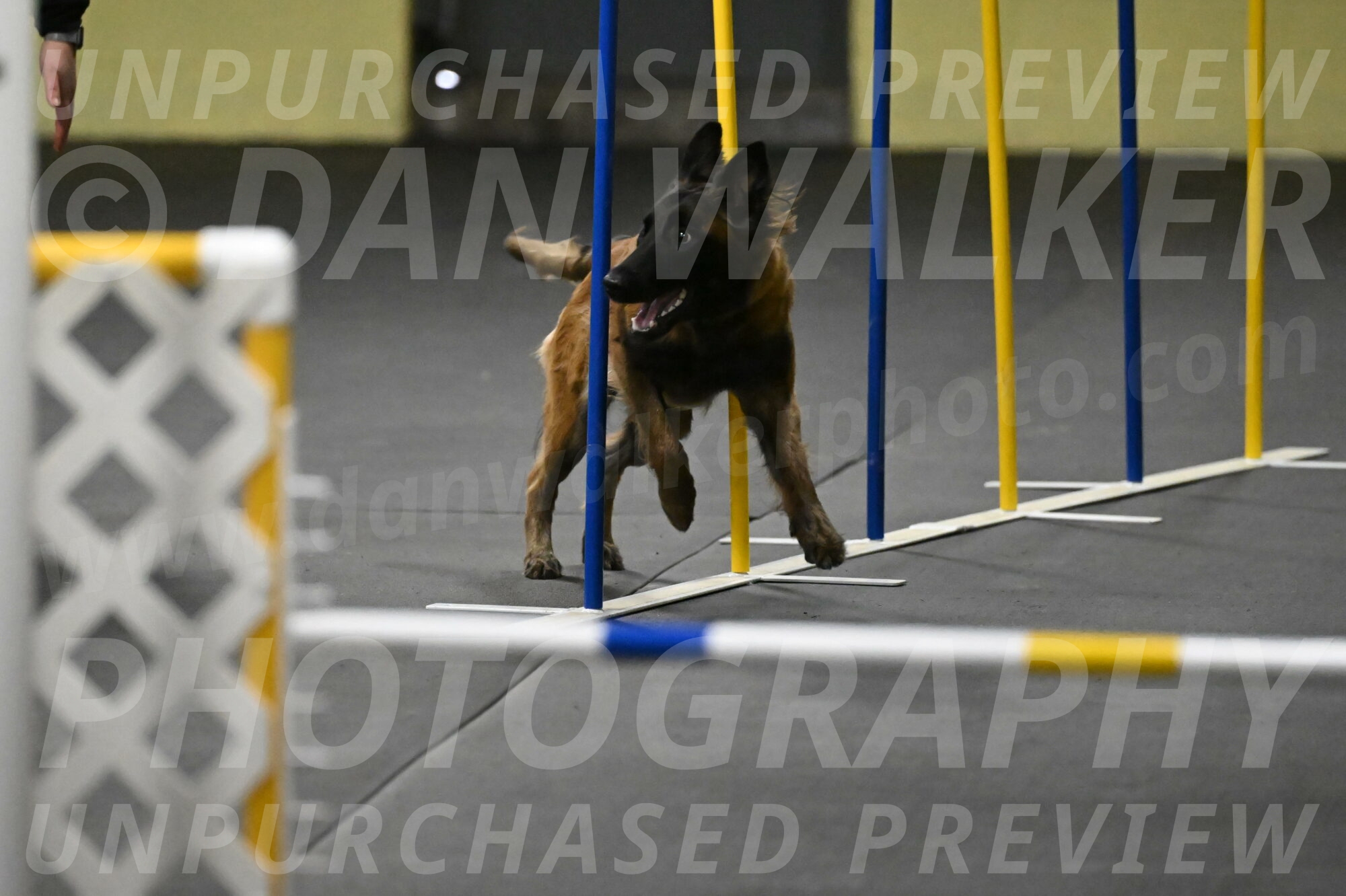 Clever-Telencio-07824