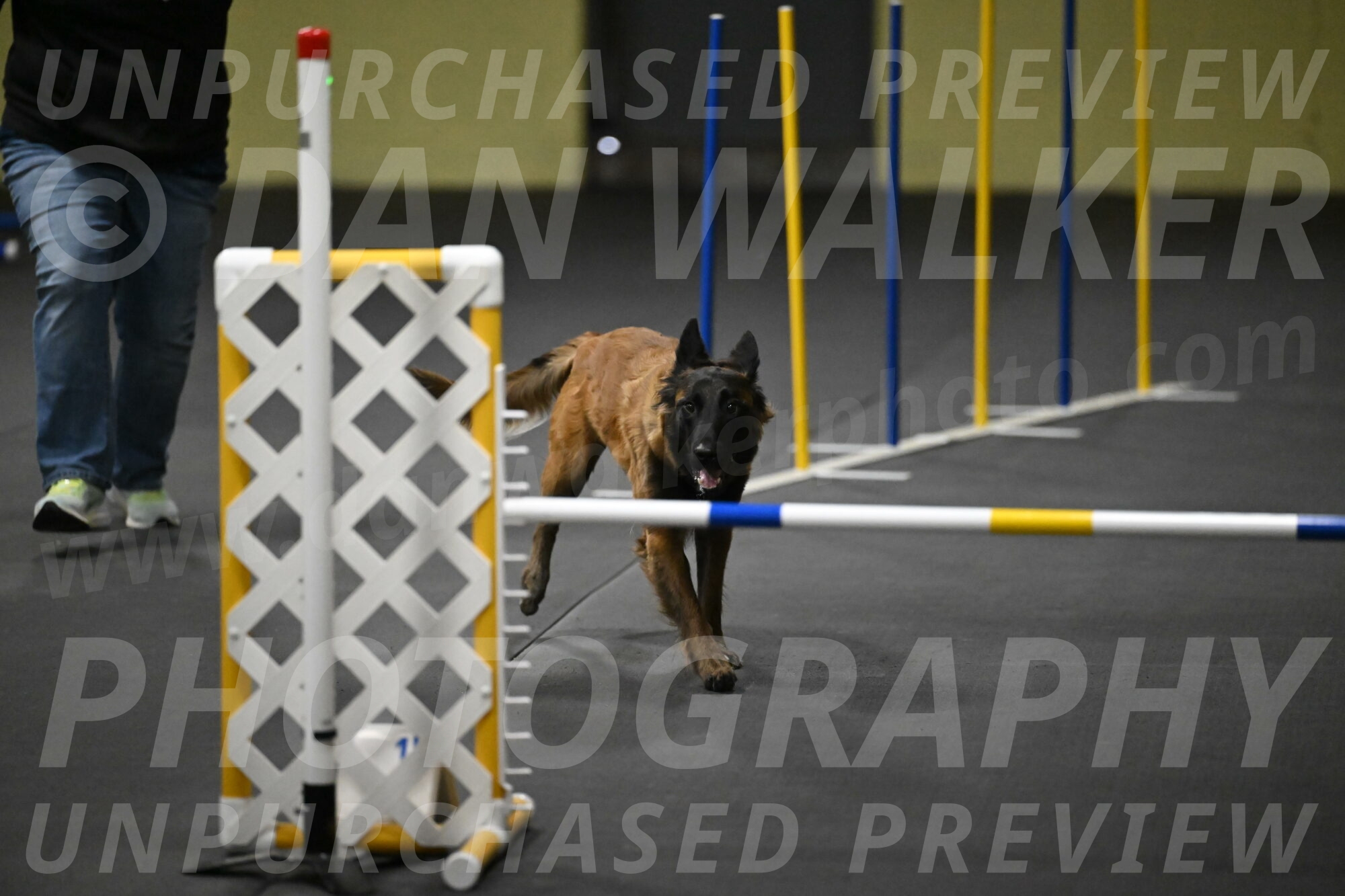 Clever-Telencio-07825