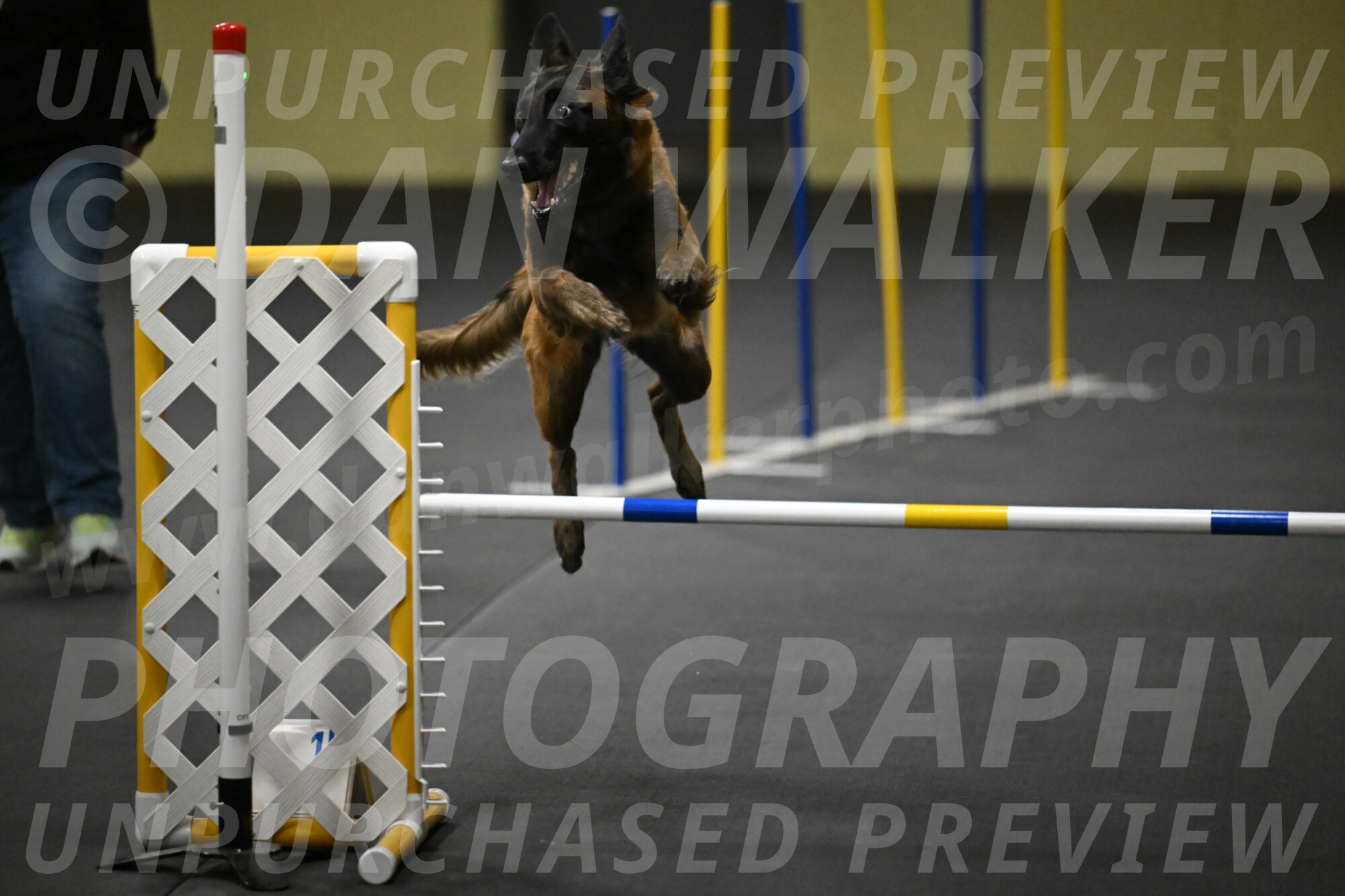 Clever-Telencio-07830