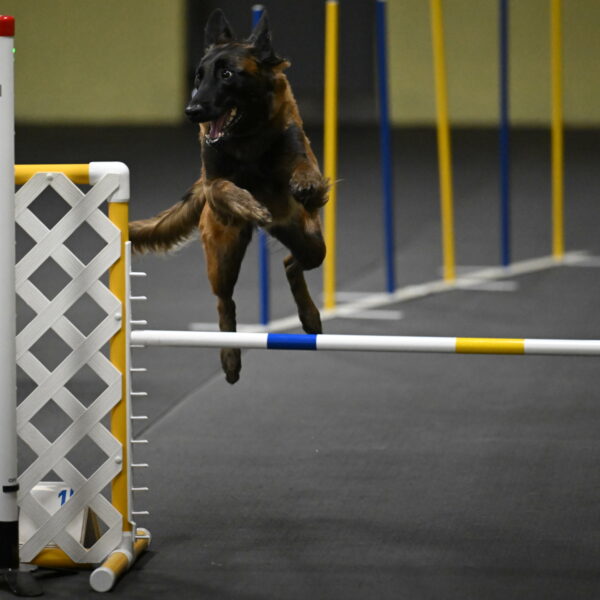 Clever-Telencio-07830