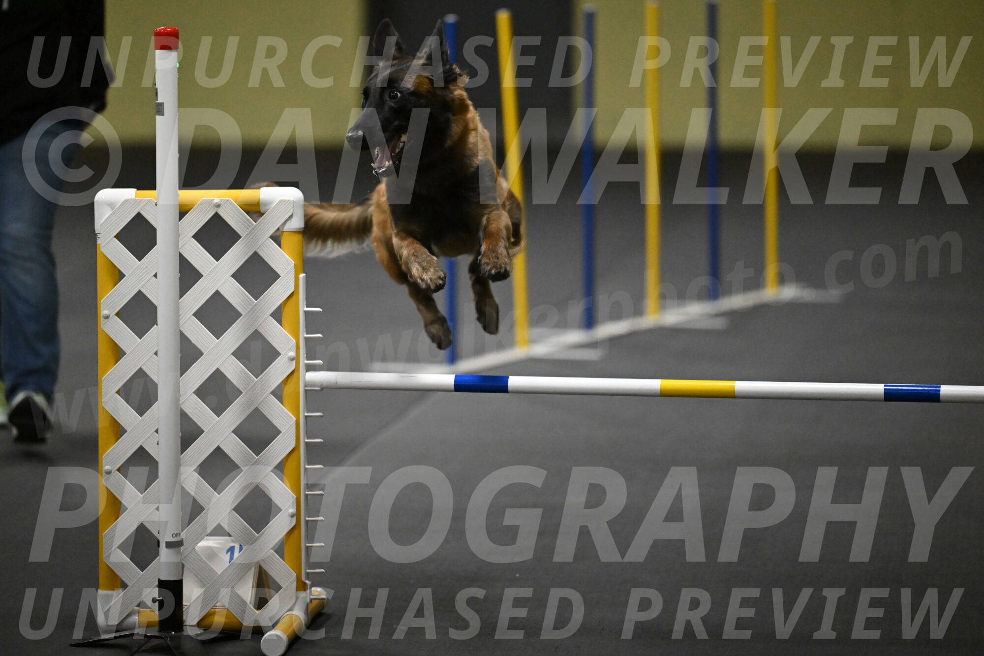 Clever-Telencio-07831