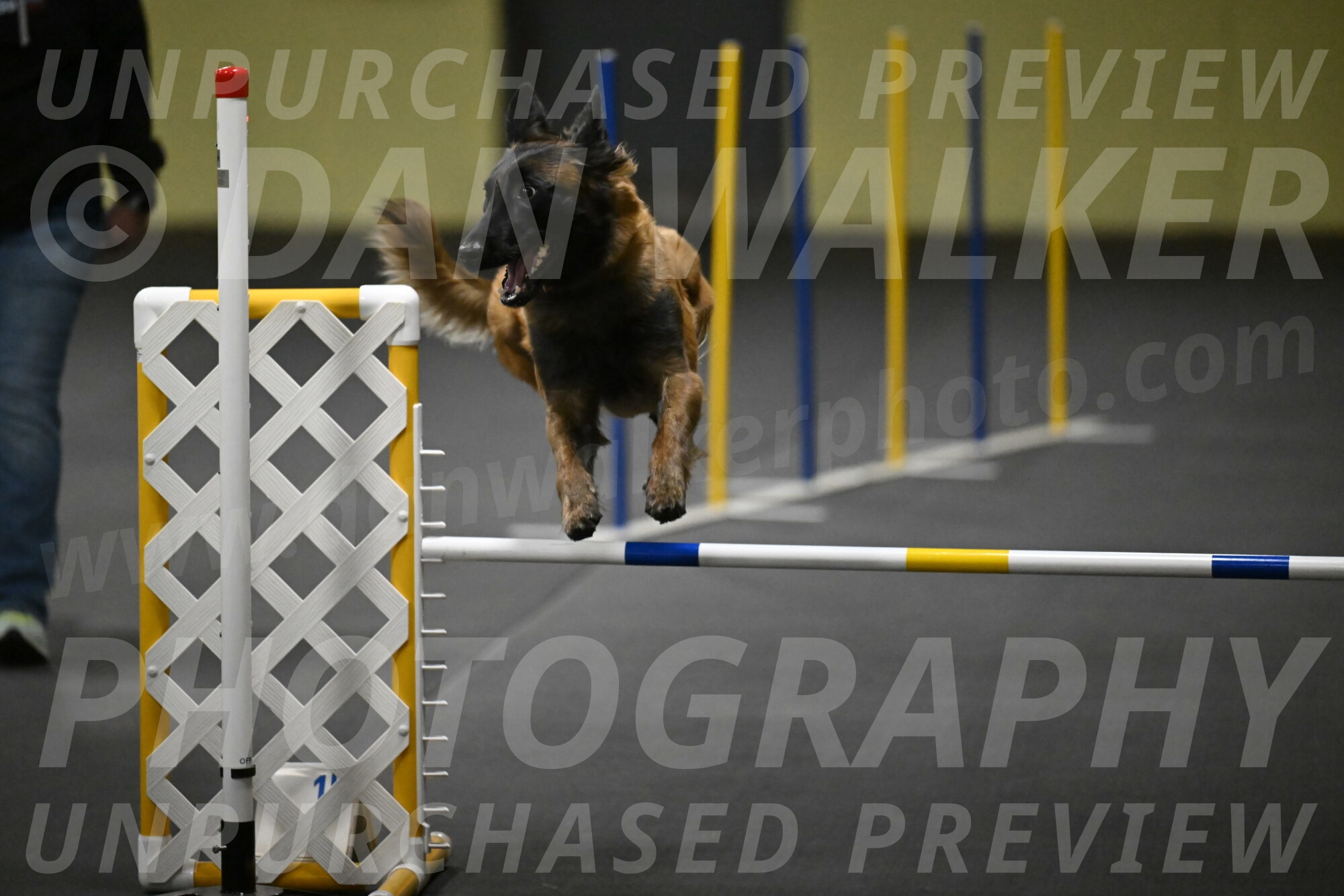 Clever-Telencio-07832