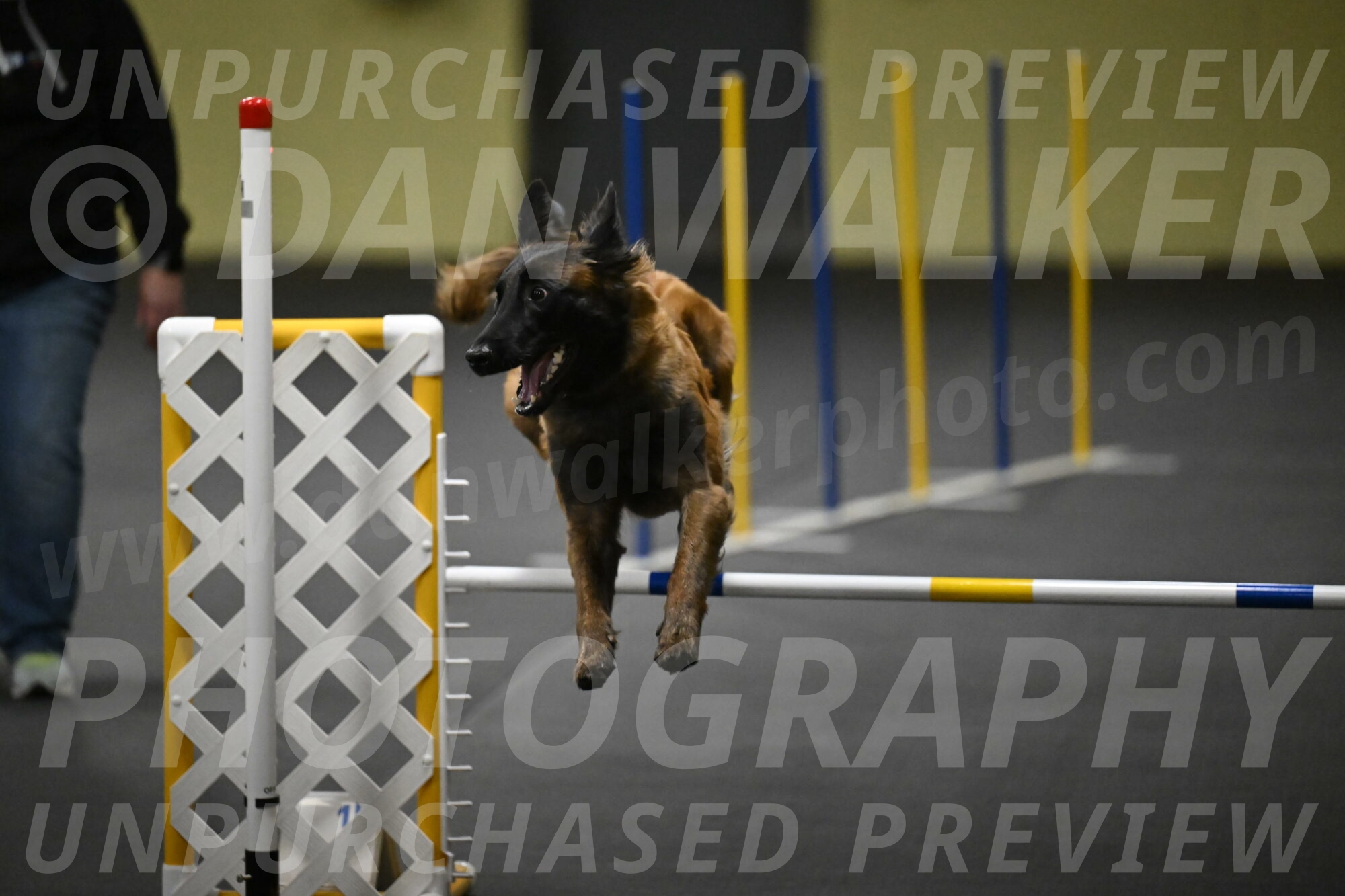 Clever-Telencio-07833