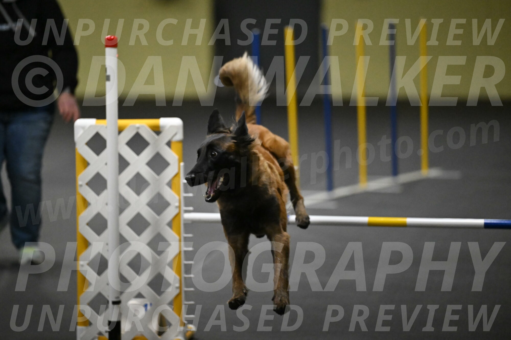 Clever-Telencio-07834