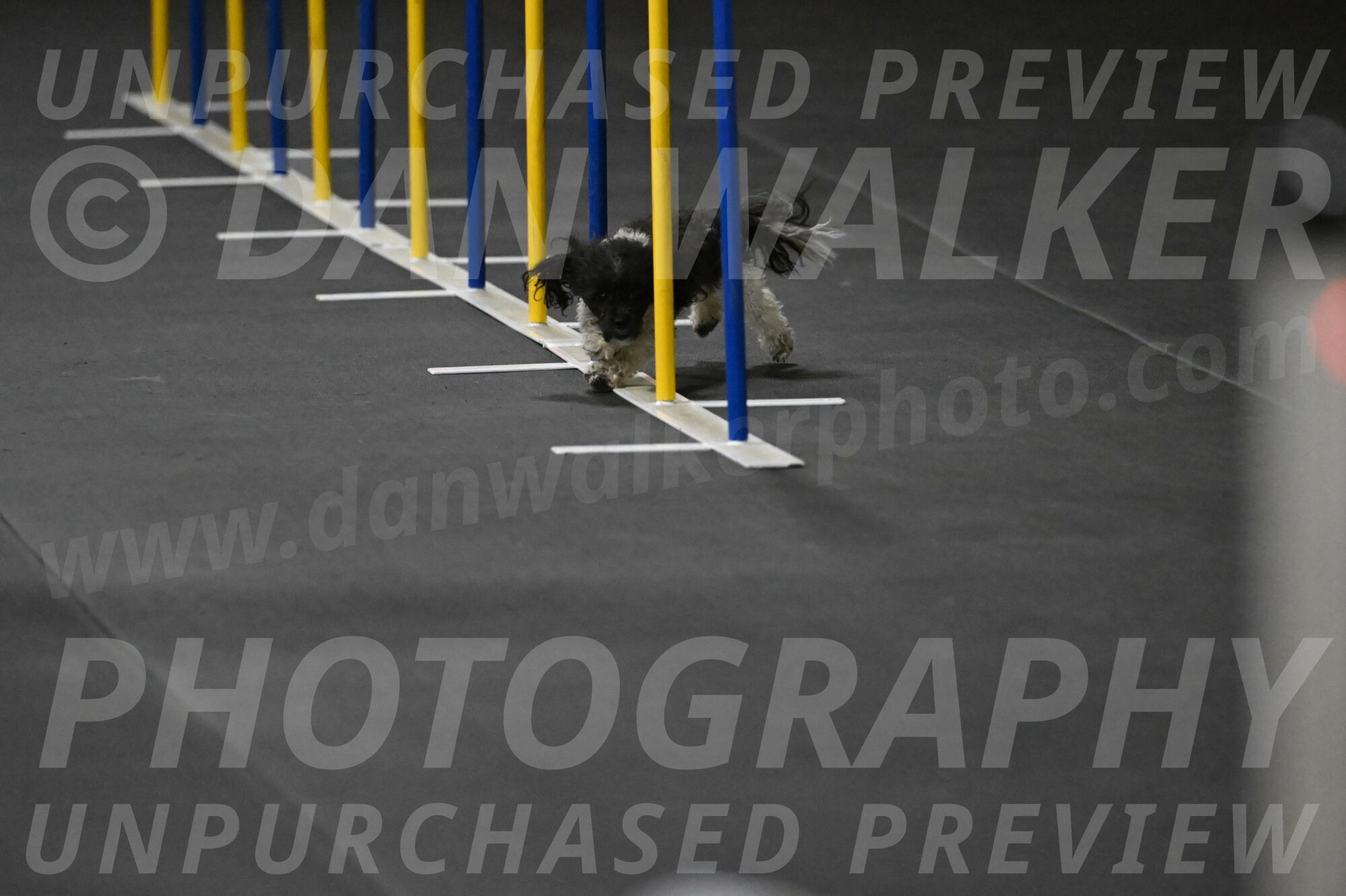 Cowboy-Bourell-Casey-08142