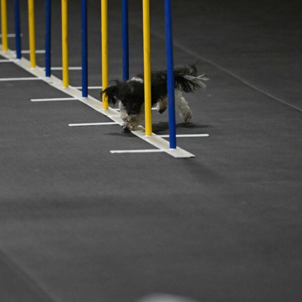 Cowboy-Bourell-Casey-08142