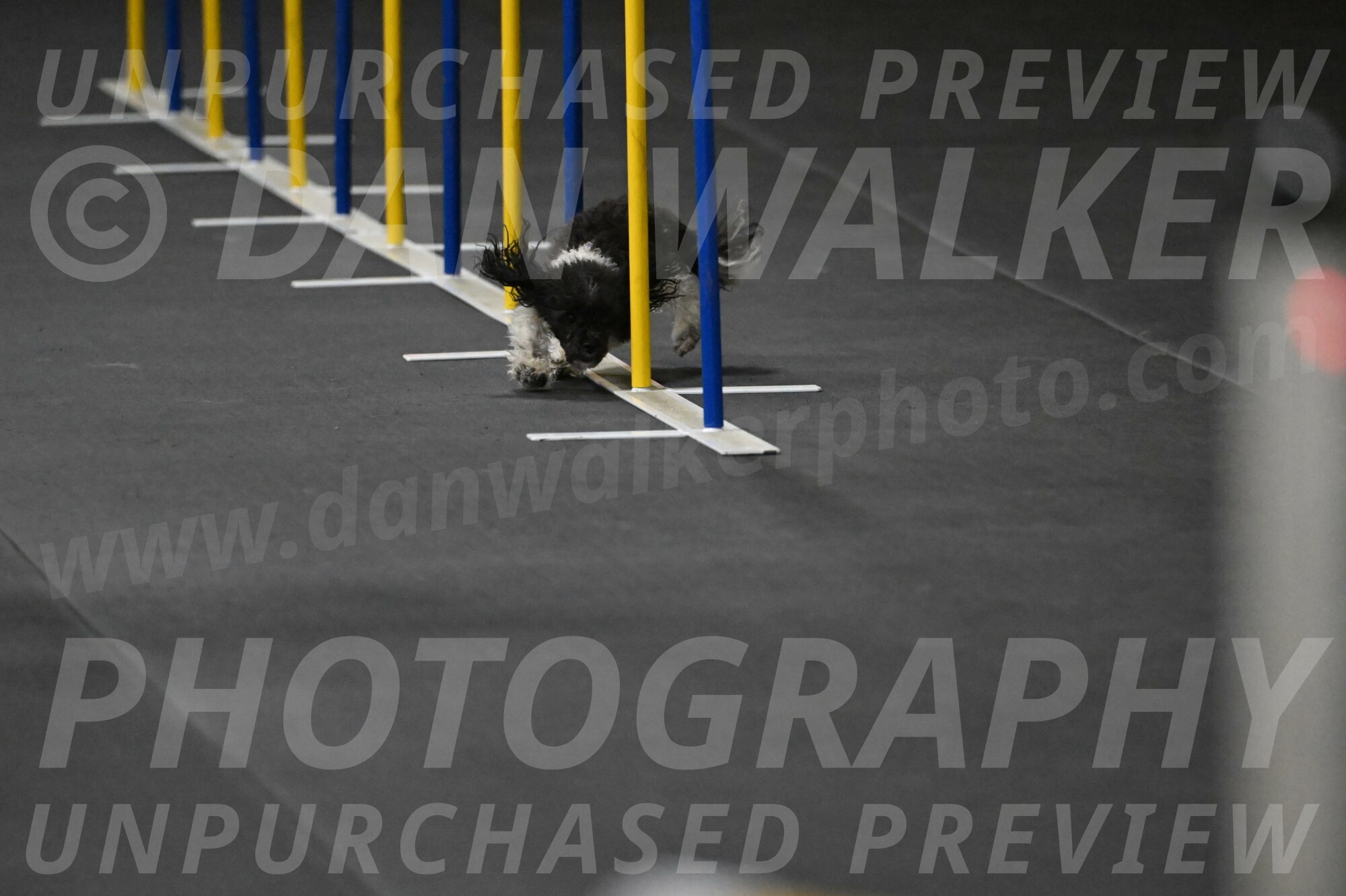 Cowboy-Bourell-Casey-08143