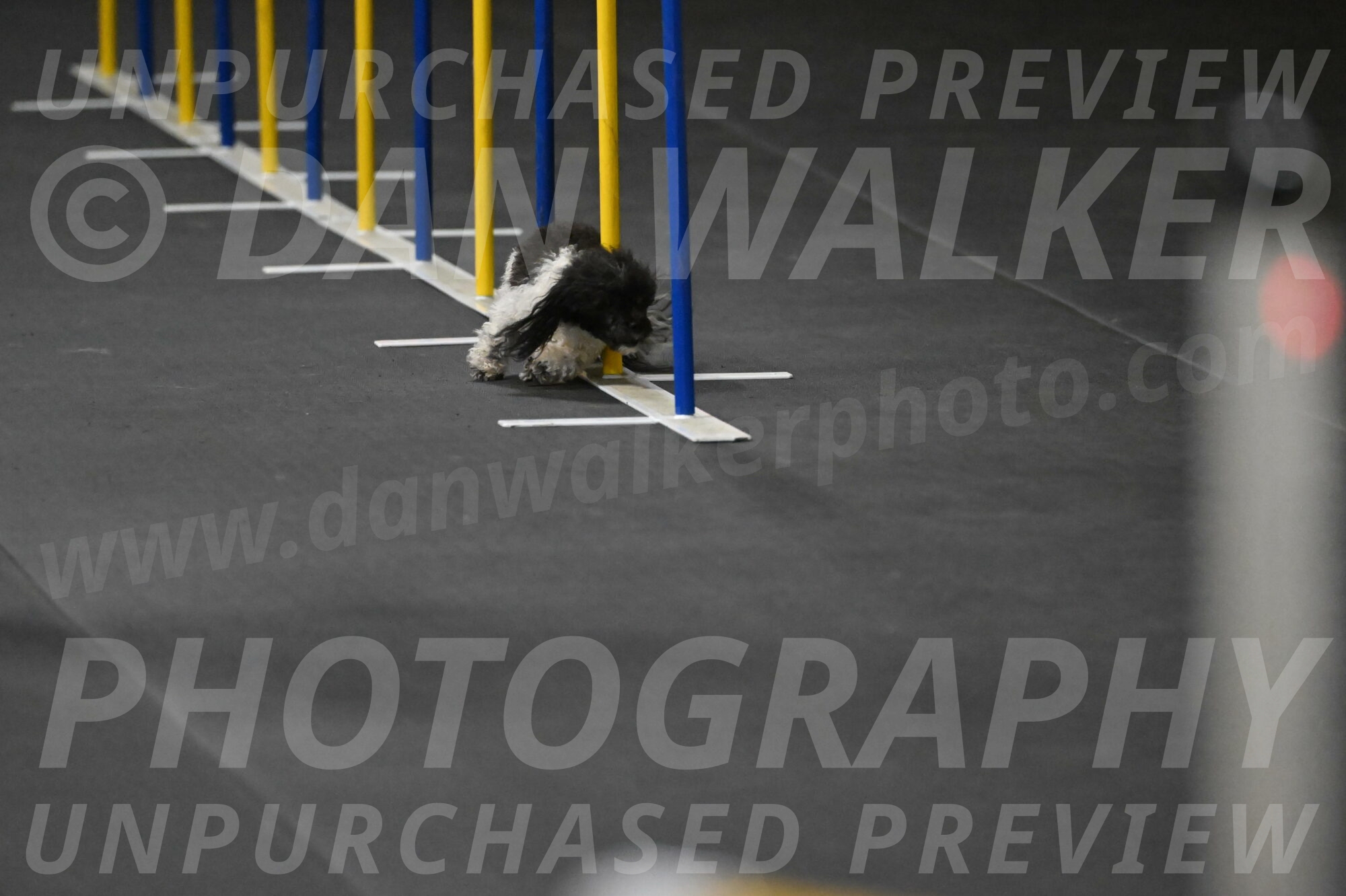 Cowboy-Bourell-Casey-08144