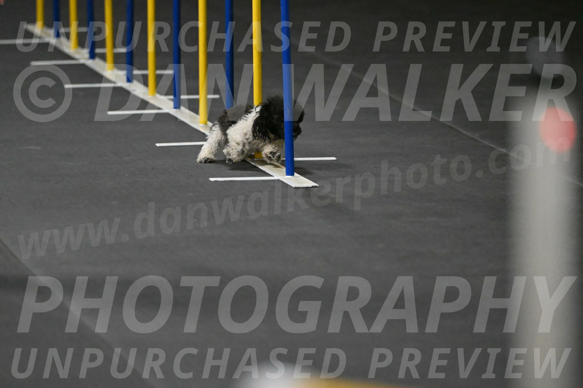 Cowboy-Bourell-Casey-08145