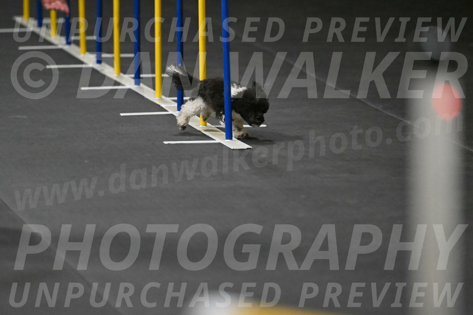 Cowboy-Bourell-Casey-08146