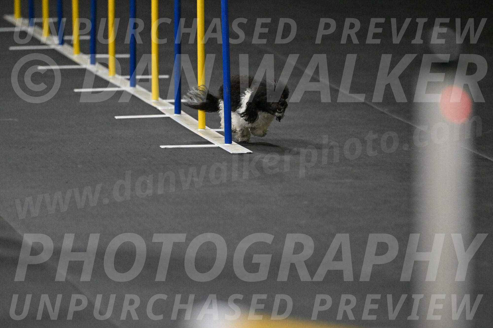 Cowboy-Bourell-Casey-08147