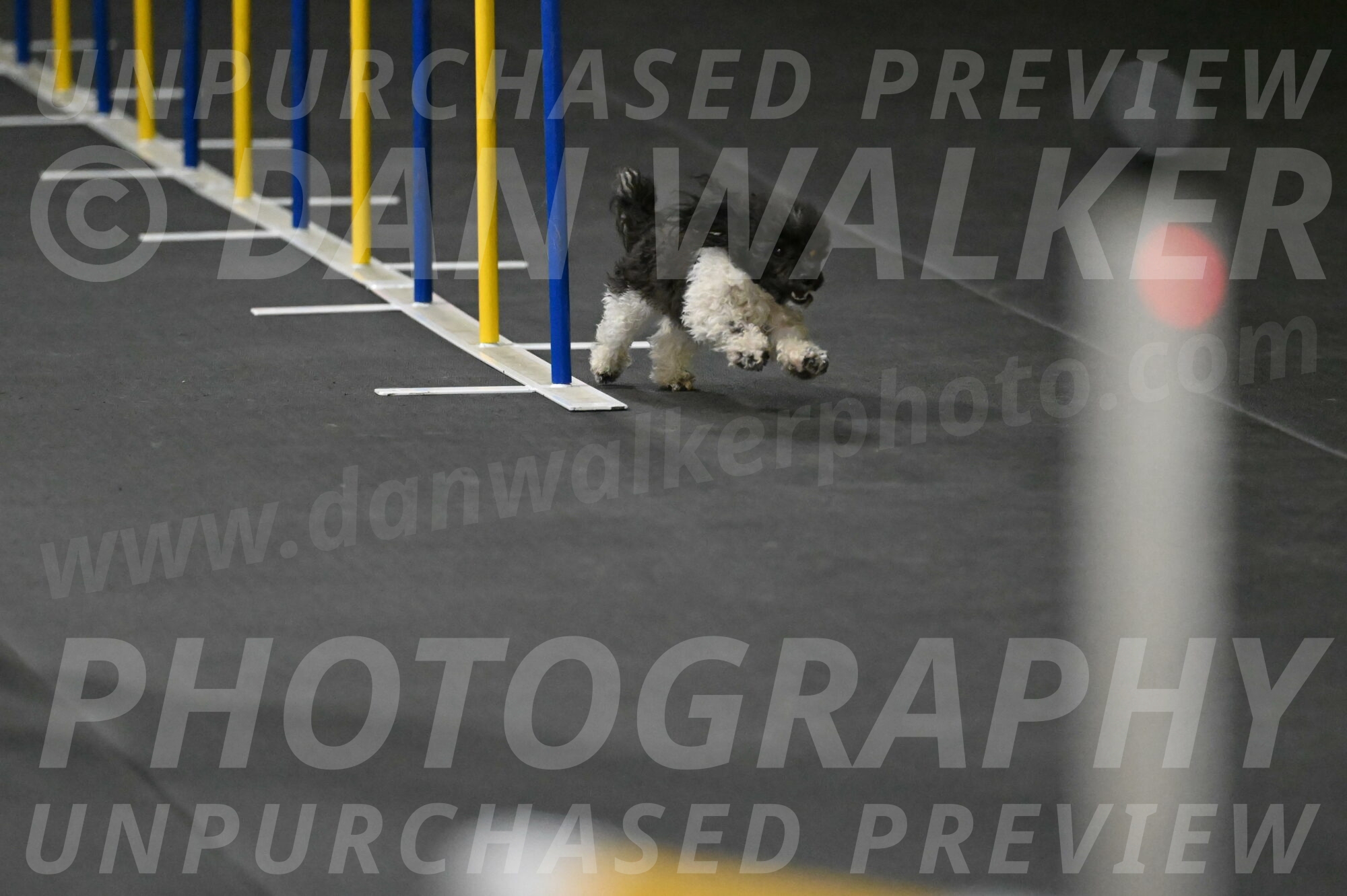 Cowboy-Bourell-Casey-08148