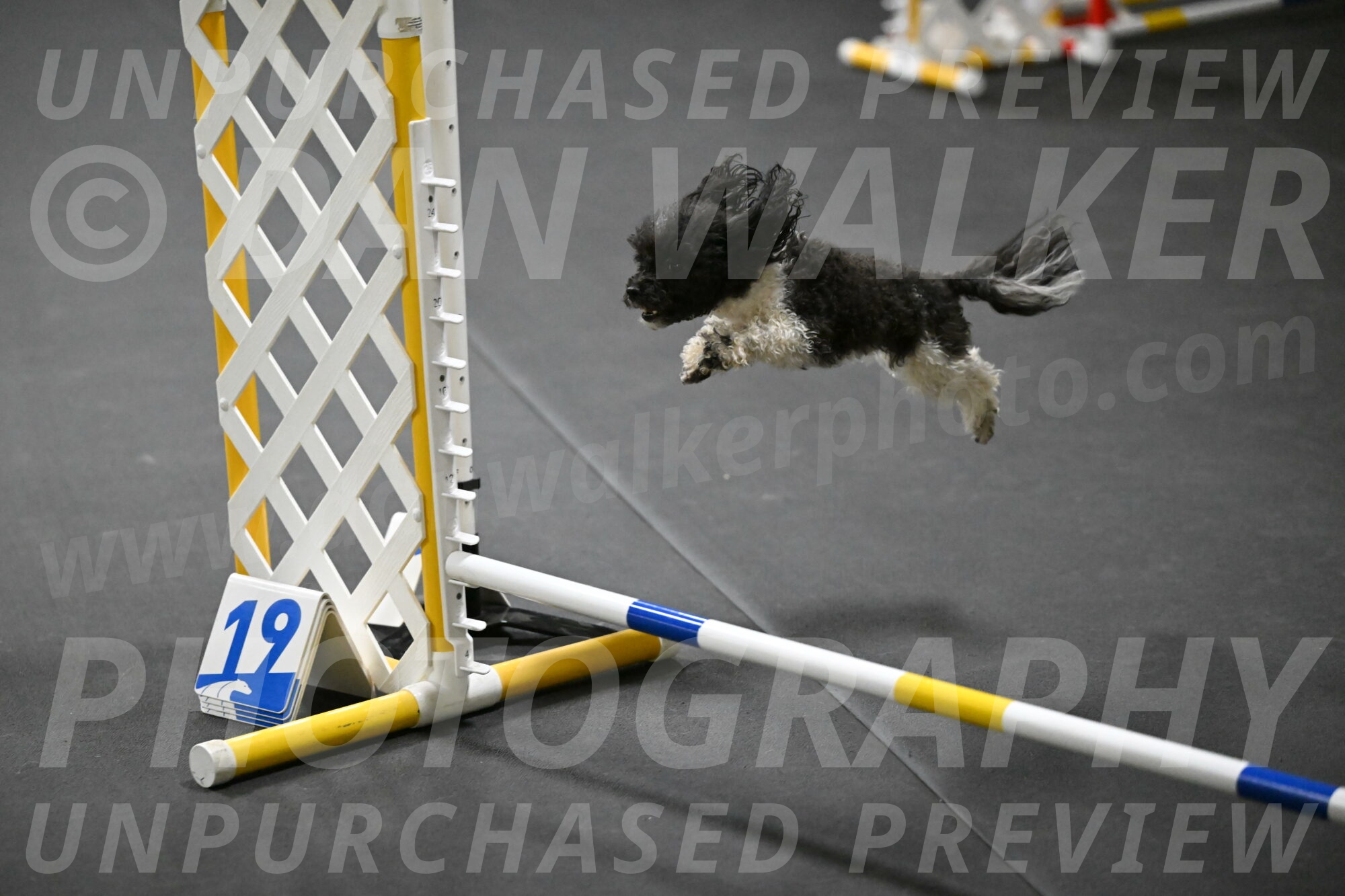 Cowboy-Bourell-Casey-08153