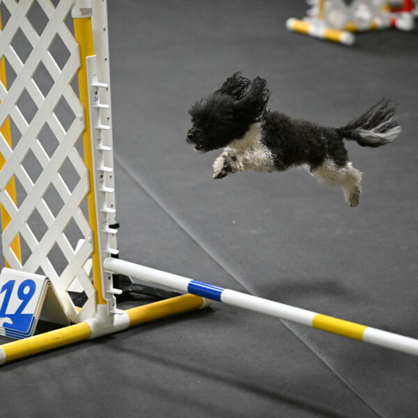 Cowboy-Bourell-Casey-08153