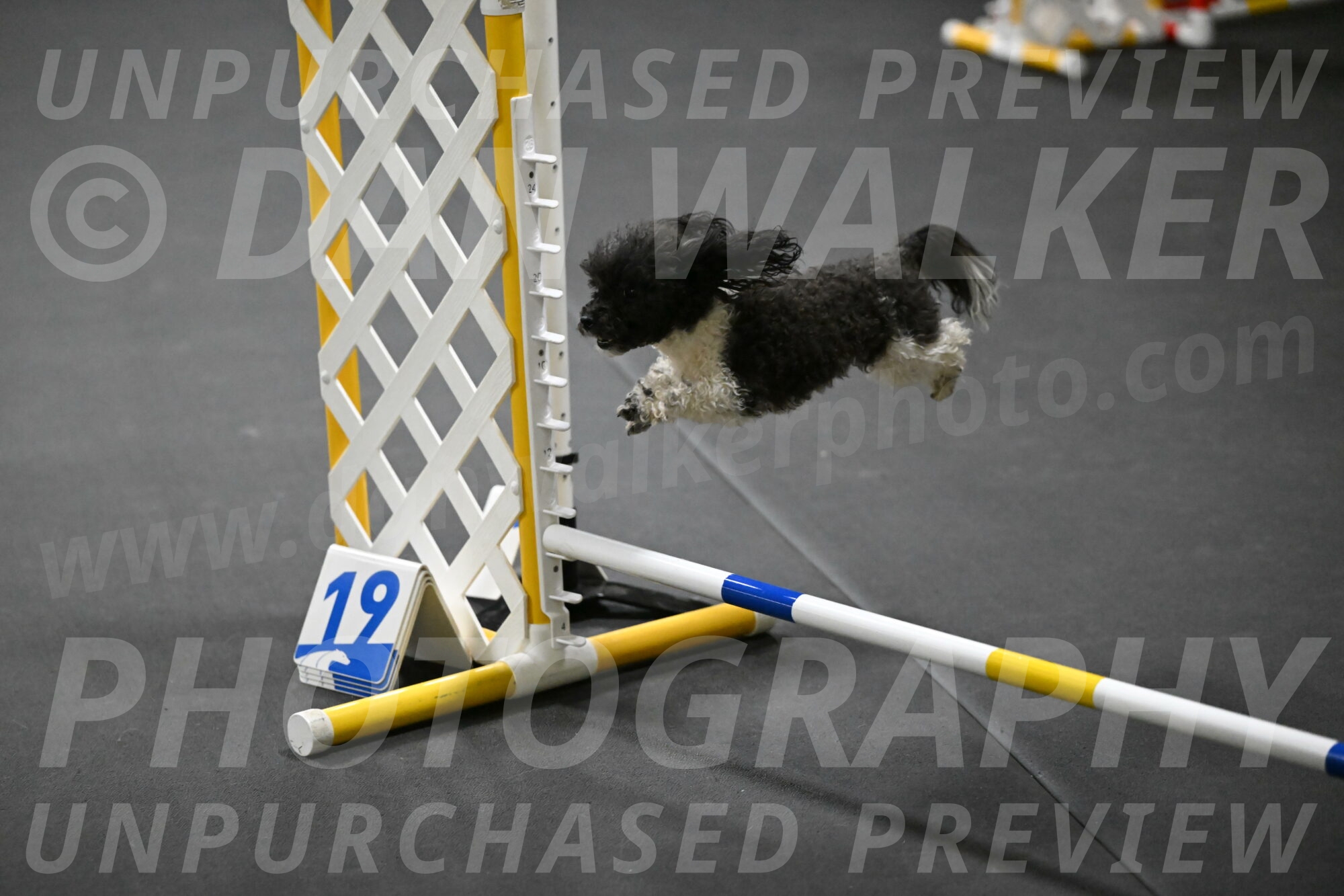 Cowboy-Bourell-Casey-08154