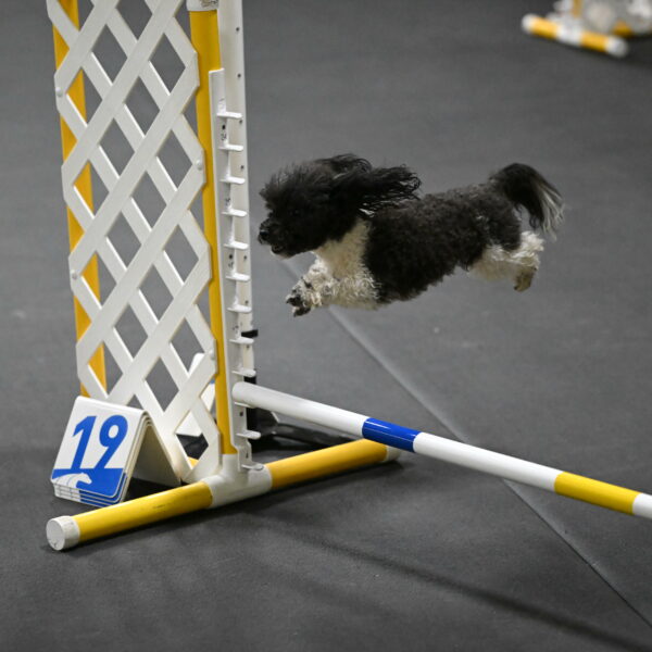 Cowboy-Bourell-Casey-08154