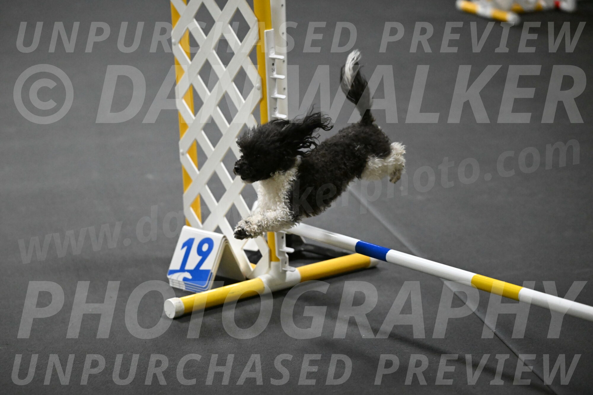 Cowboy-Bourell-Casey-08155