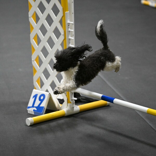 Cowboy-Bourell-Casey-08155