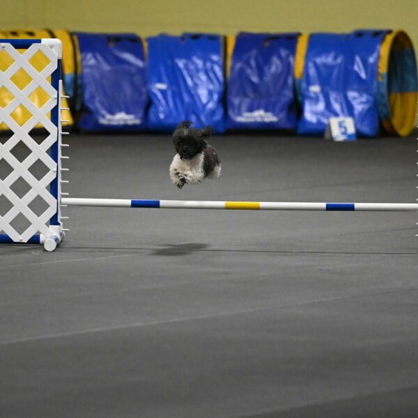 Cowboy-Bourell-Casey-08157