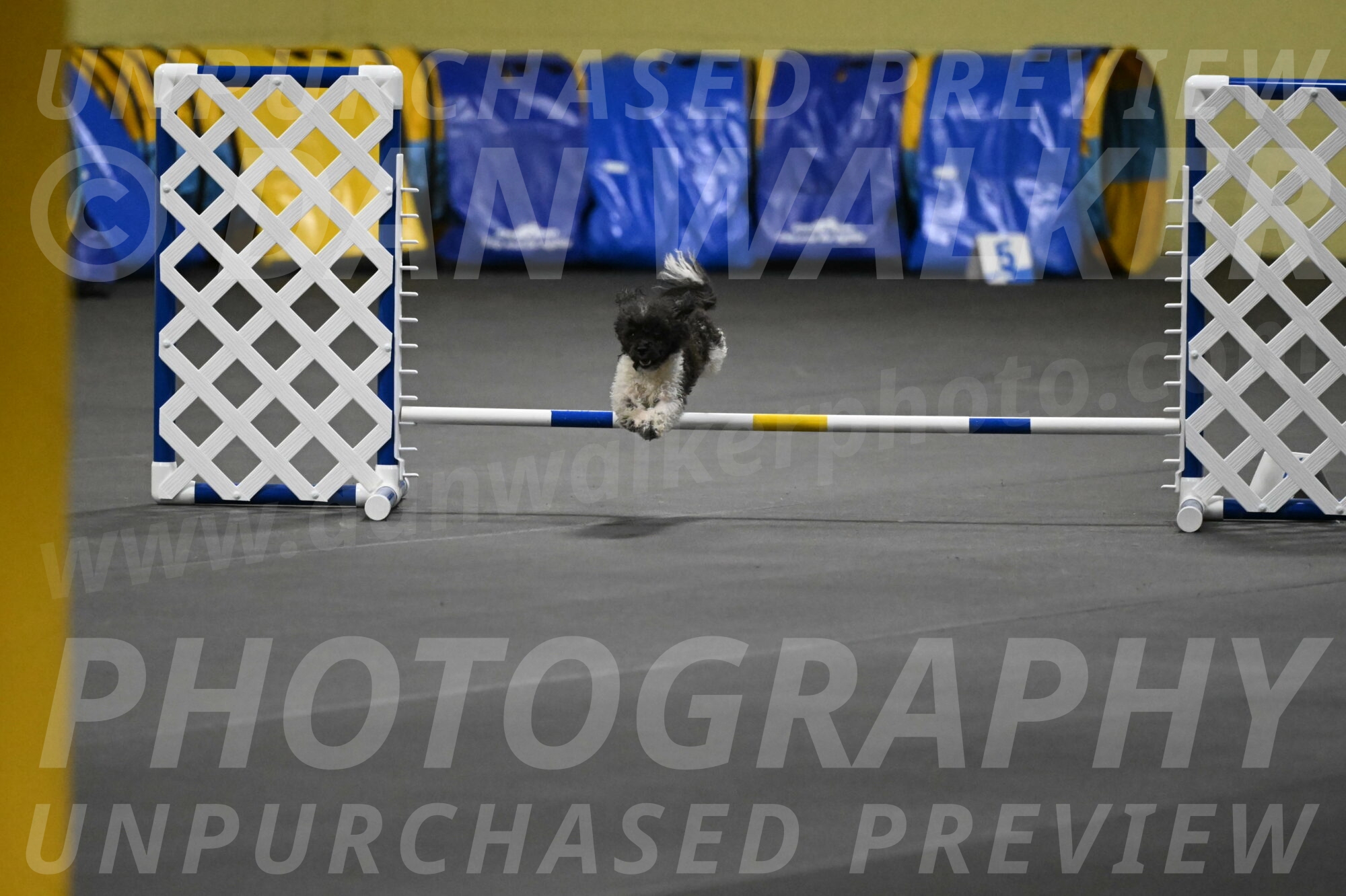 Cowboy-Bourell-Casey-08158