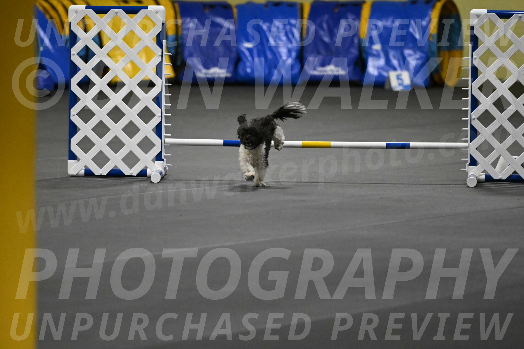 Cowboy-Bourell-Casey-08159