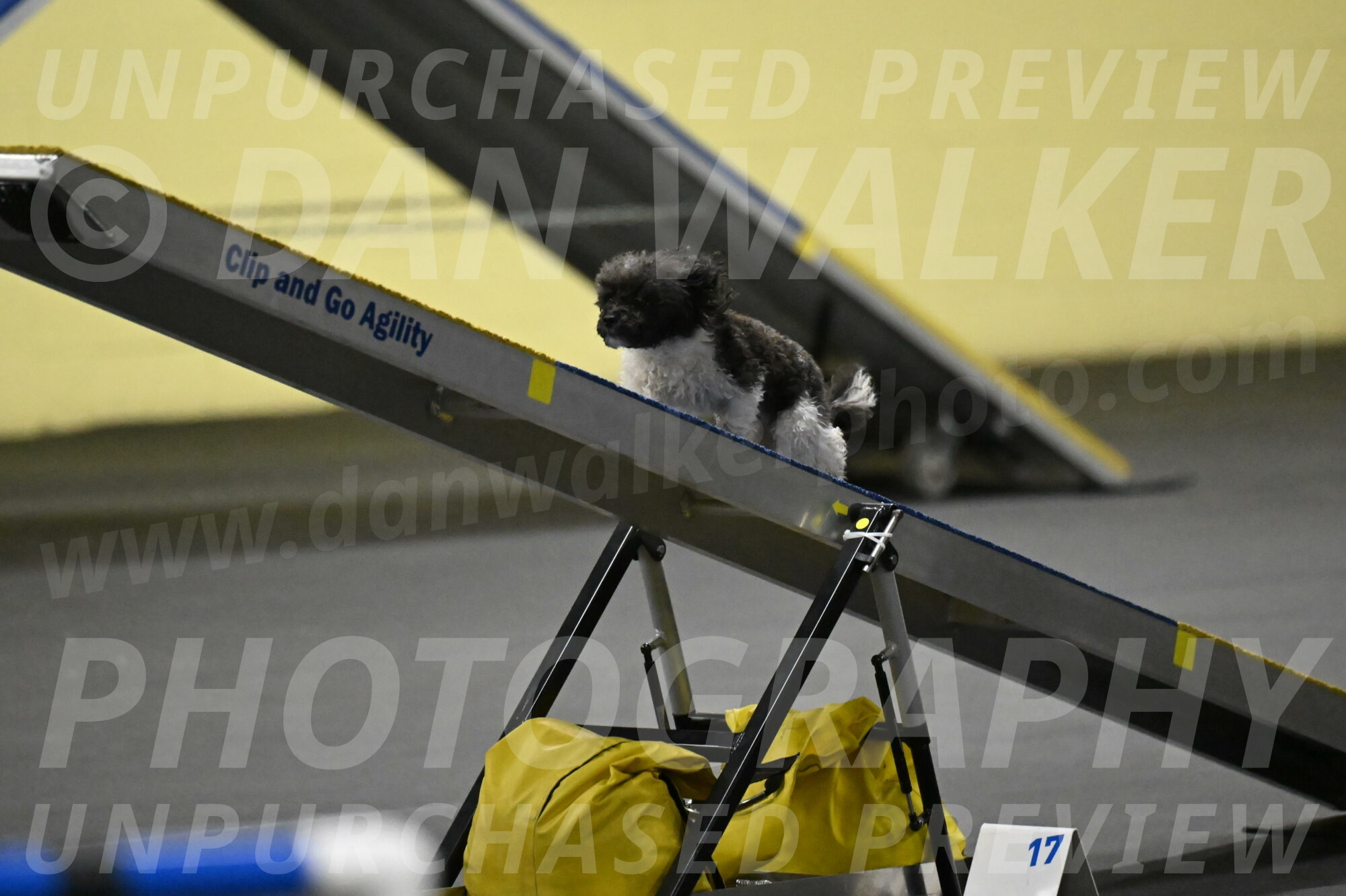 Cowboy-Bourell-Casey-08162