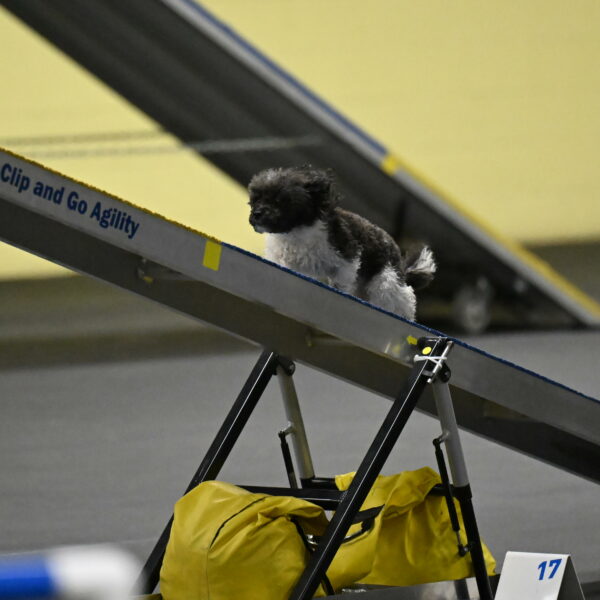 Cowboy-Bourell-Casey-08162