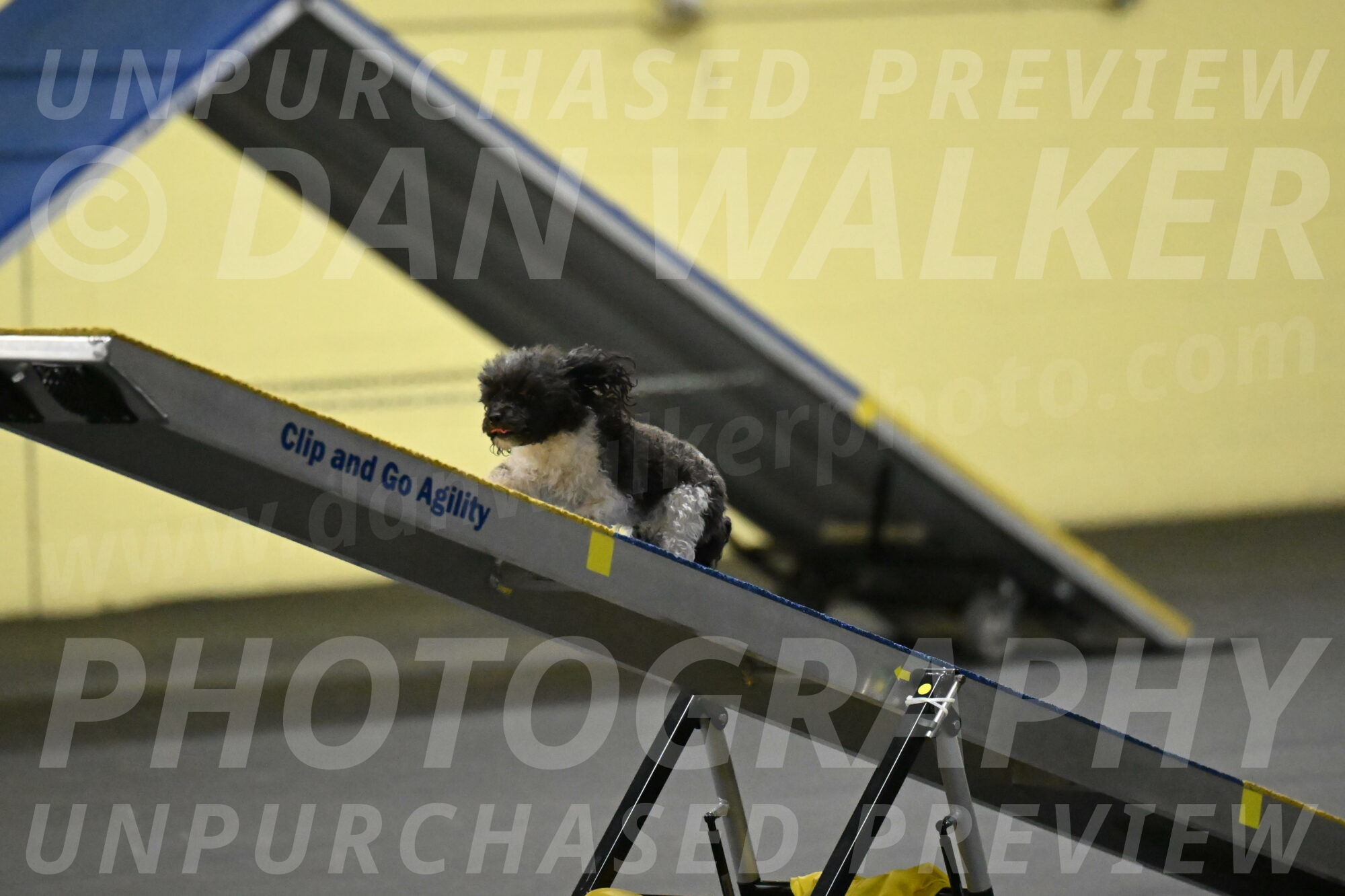 Cowboy-Bourell-Casey-08163