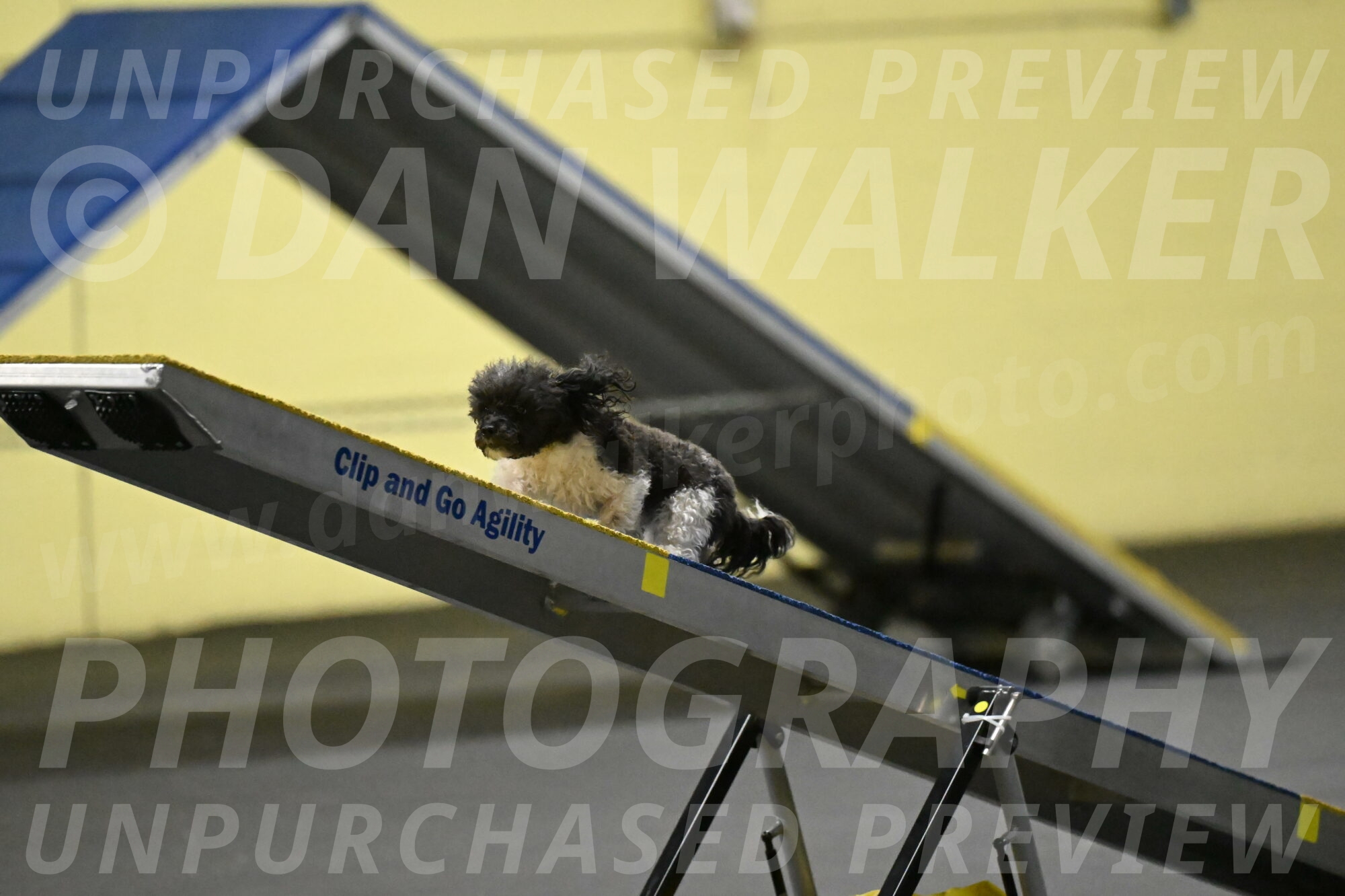 Cowboy-Bourell-Casey-08164