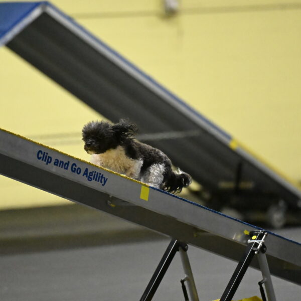 Cowboy-Bourell-Casey-08164