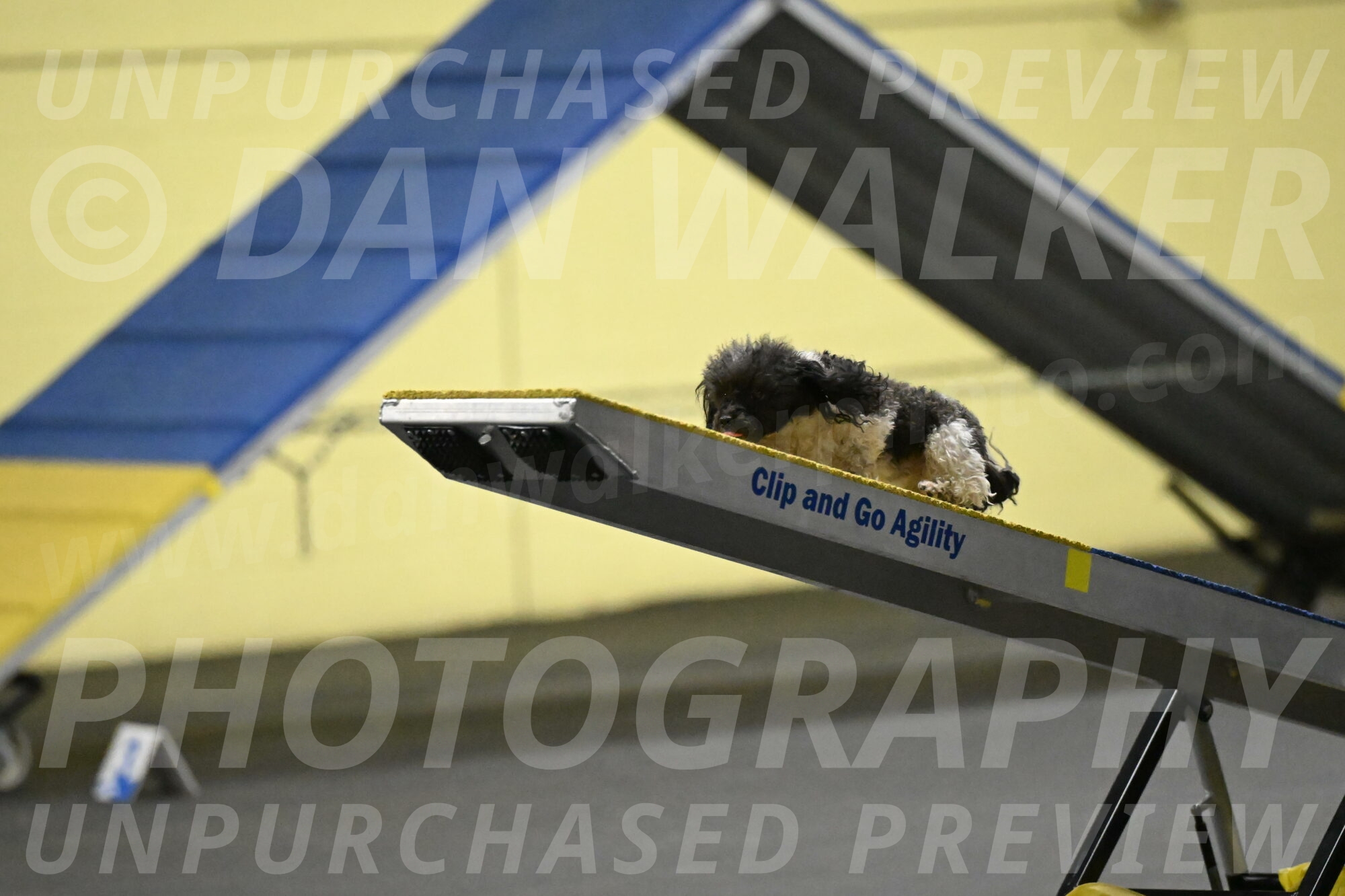 Cowboy-Bourell-Casey-08165