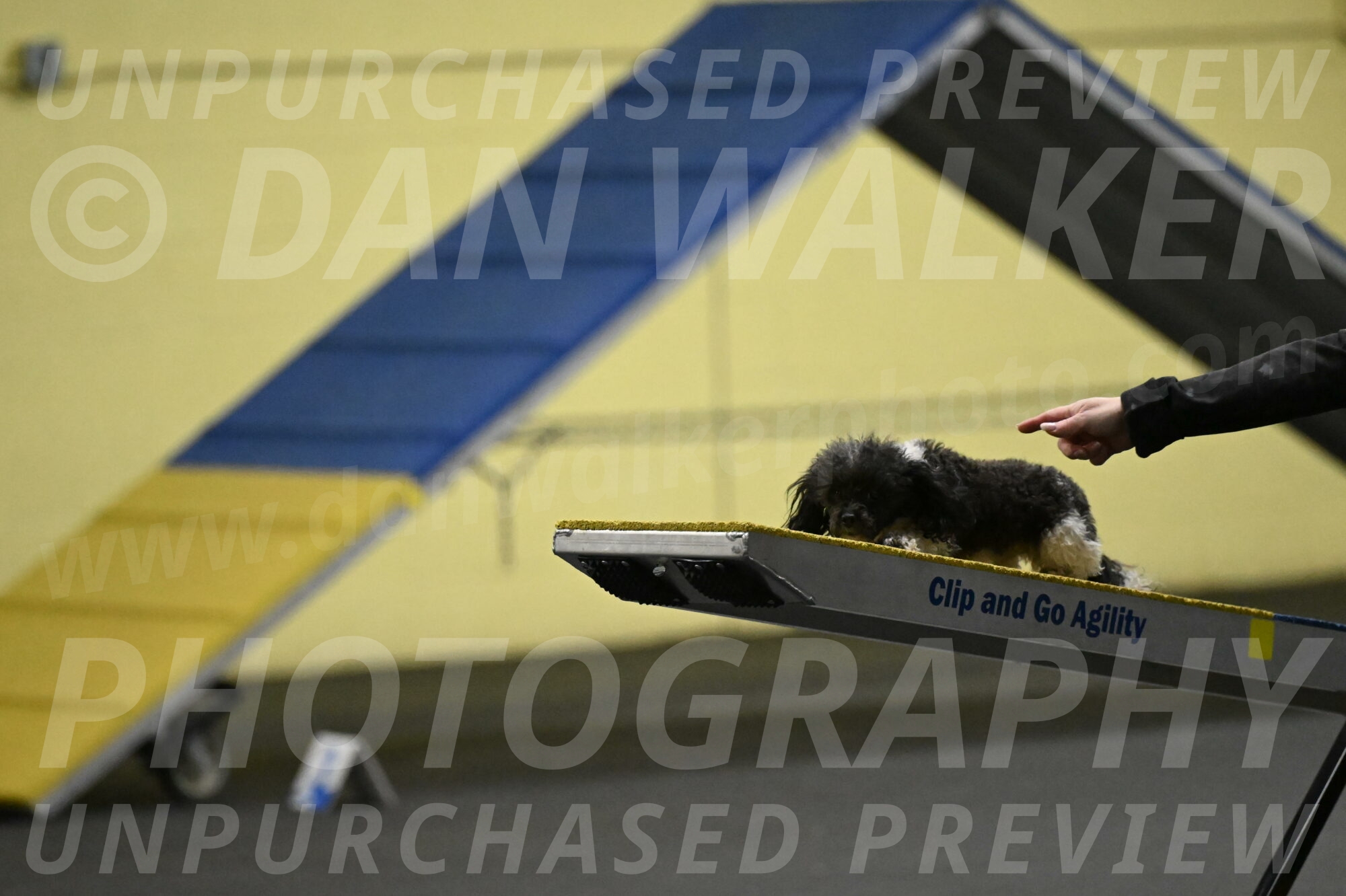 Cowboy-Bourell-Casey-08167