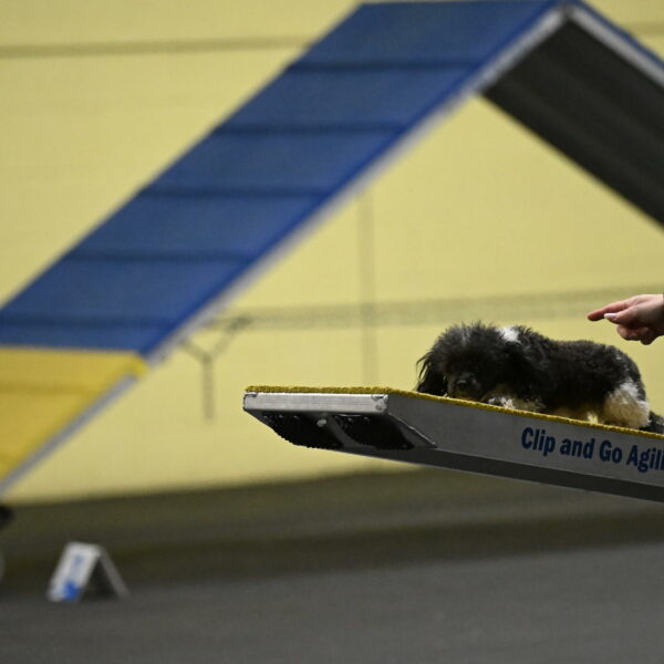 Cowboy-Bourell-Casey-08167