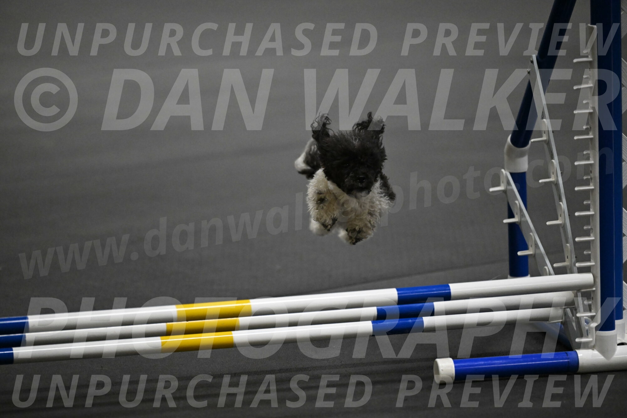 Cowboy-Bourell-Casey-08169