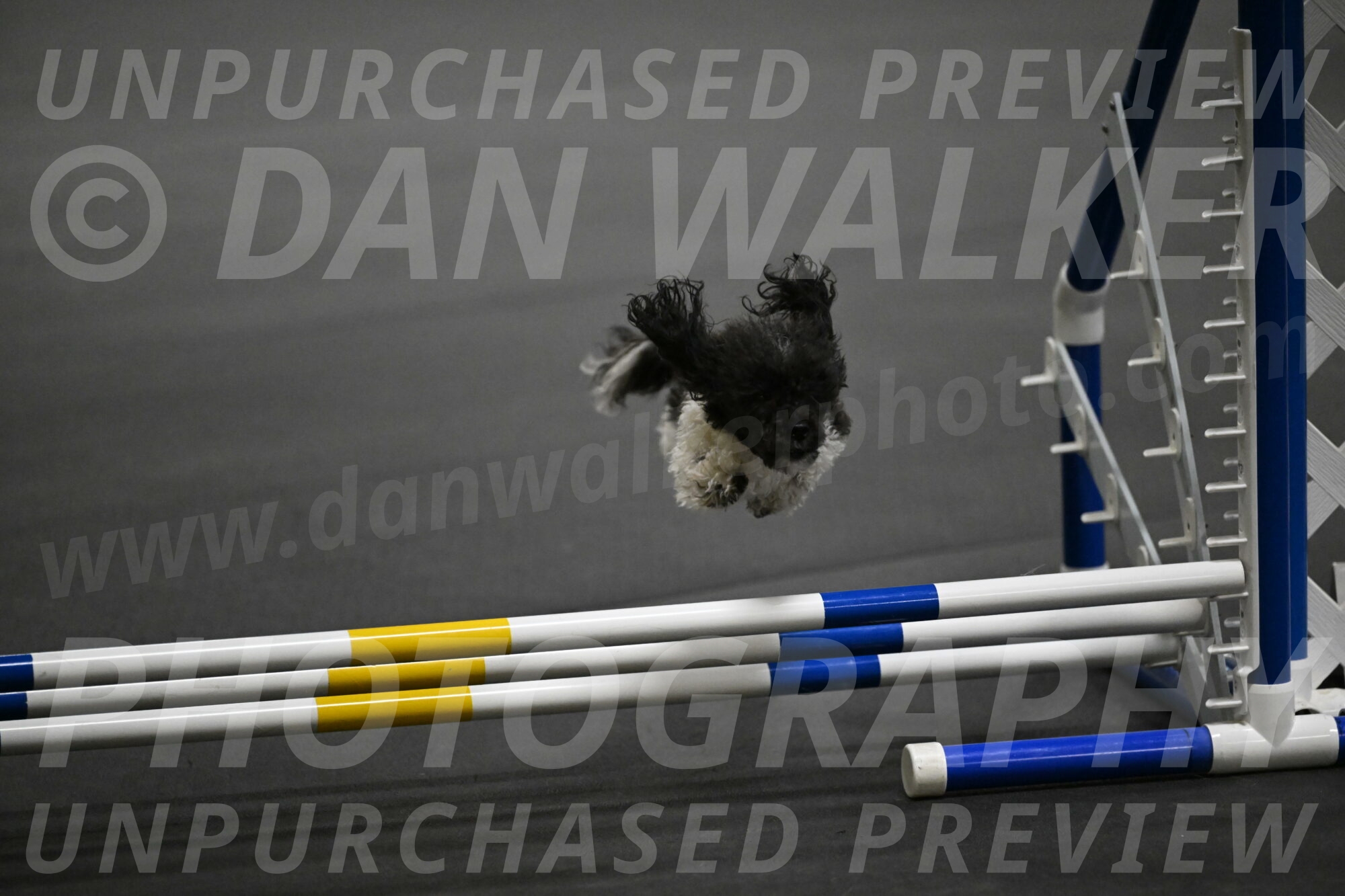 Cowboy-Bourell-Casey-08170