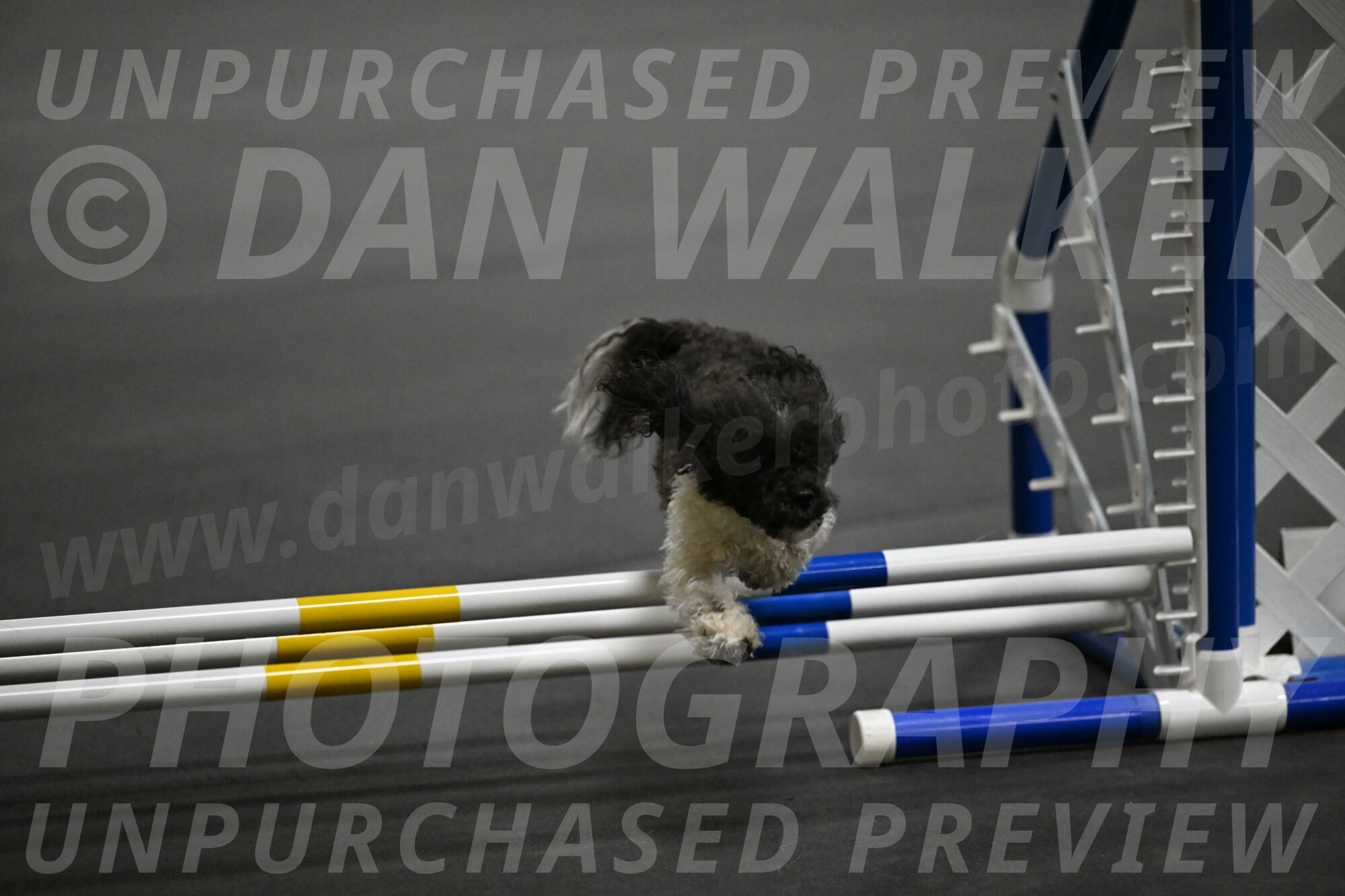 Cowboy-Bourell-Casey-08171