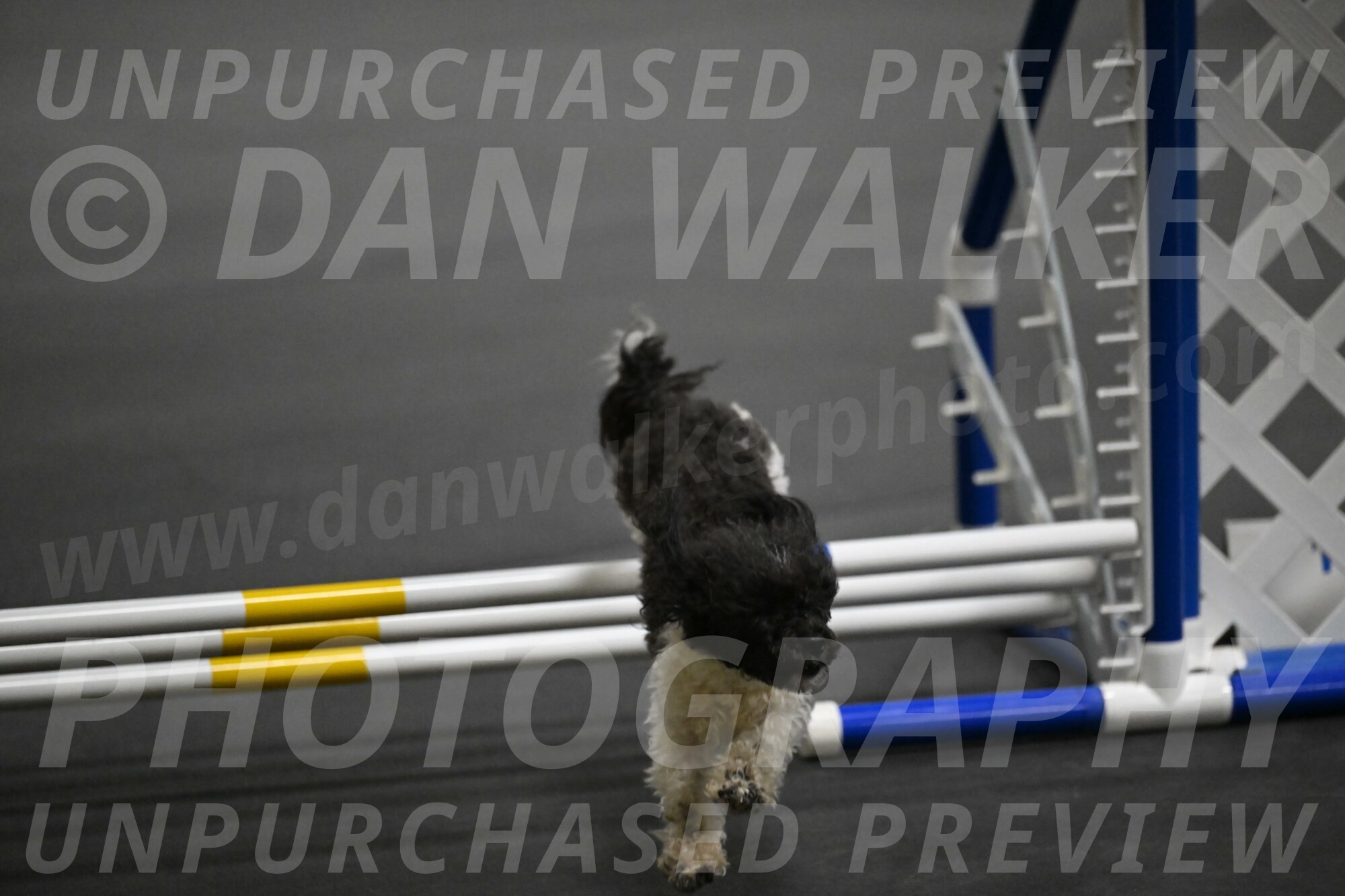 Cowboy-Bourell-Casey-08172