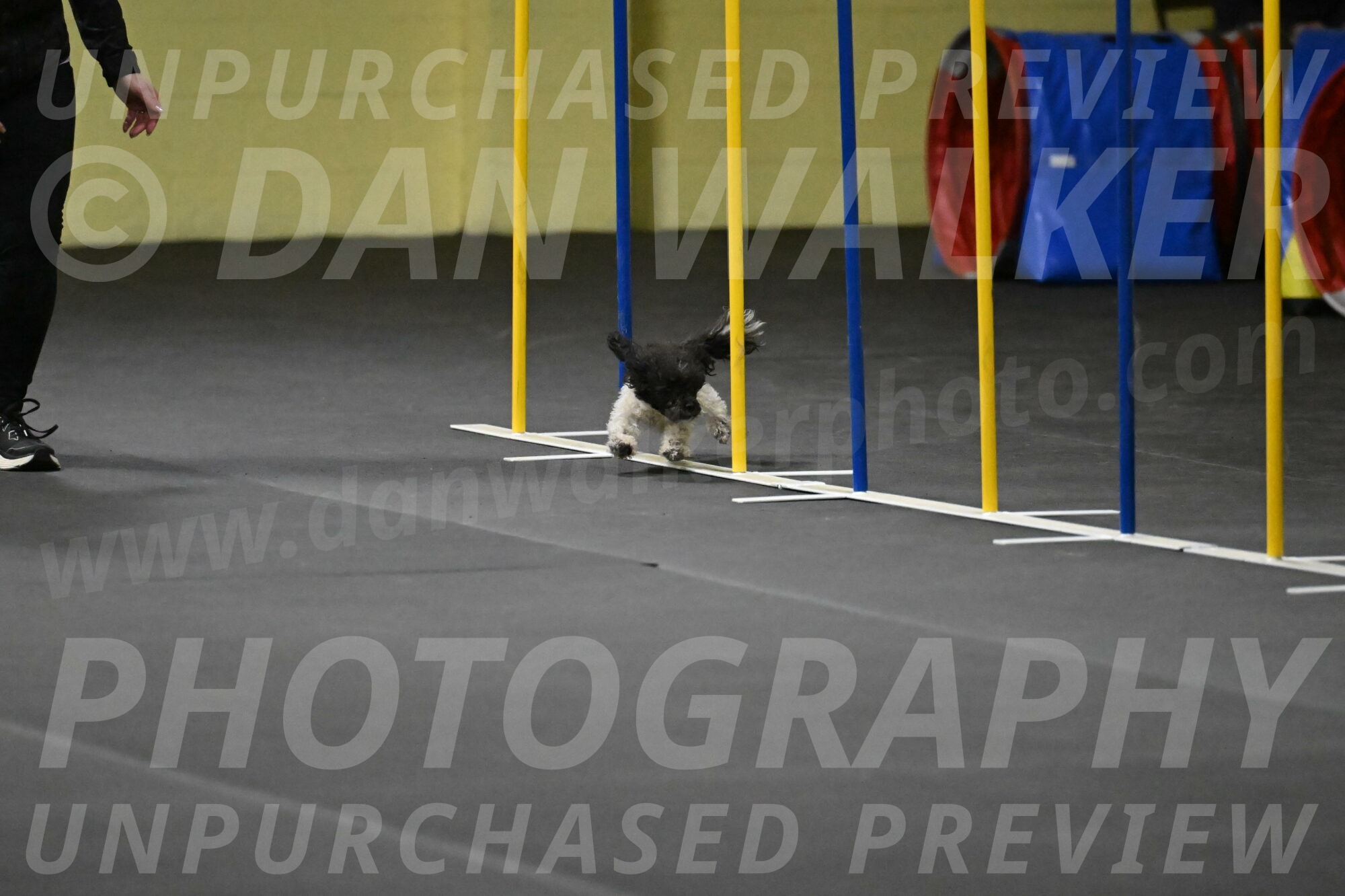 Cowboy-Bourell-Casey-08175