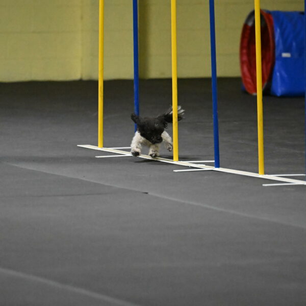 Cowboy-Bourell-Casey-08175