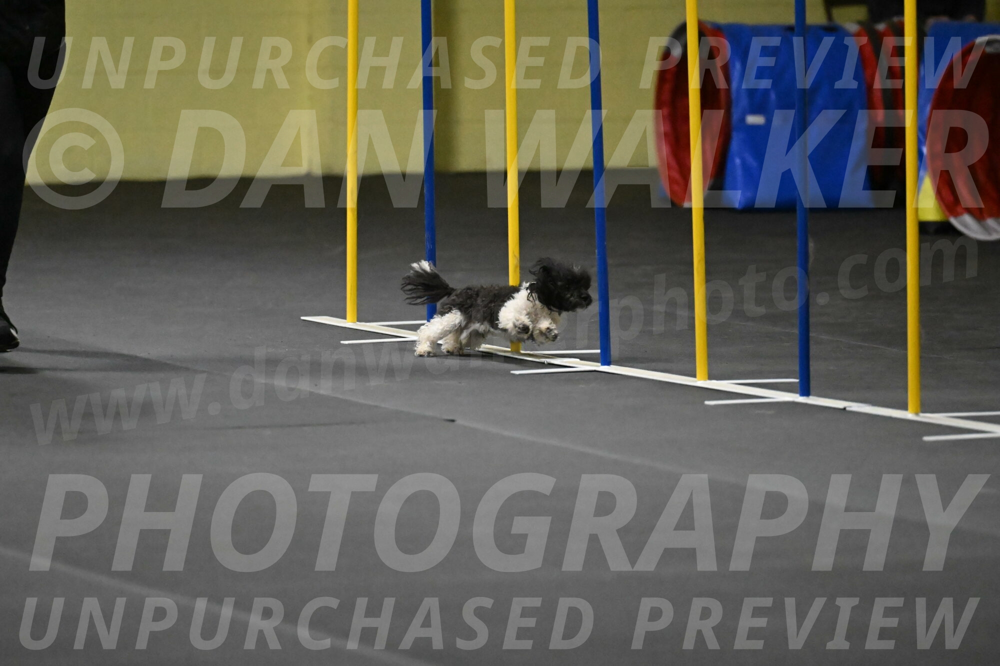 Cowboy-Bourell-Casey-08177