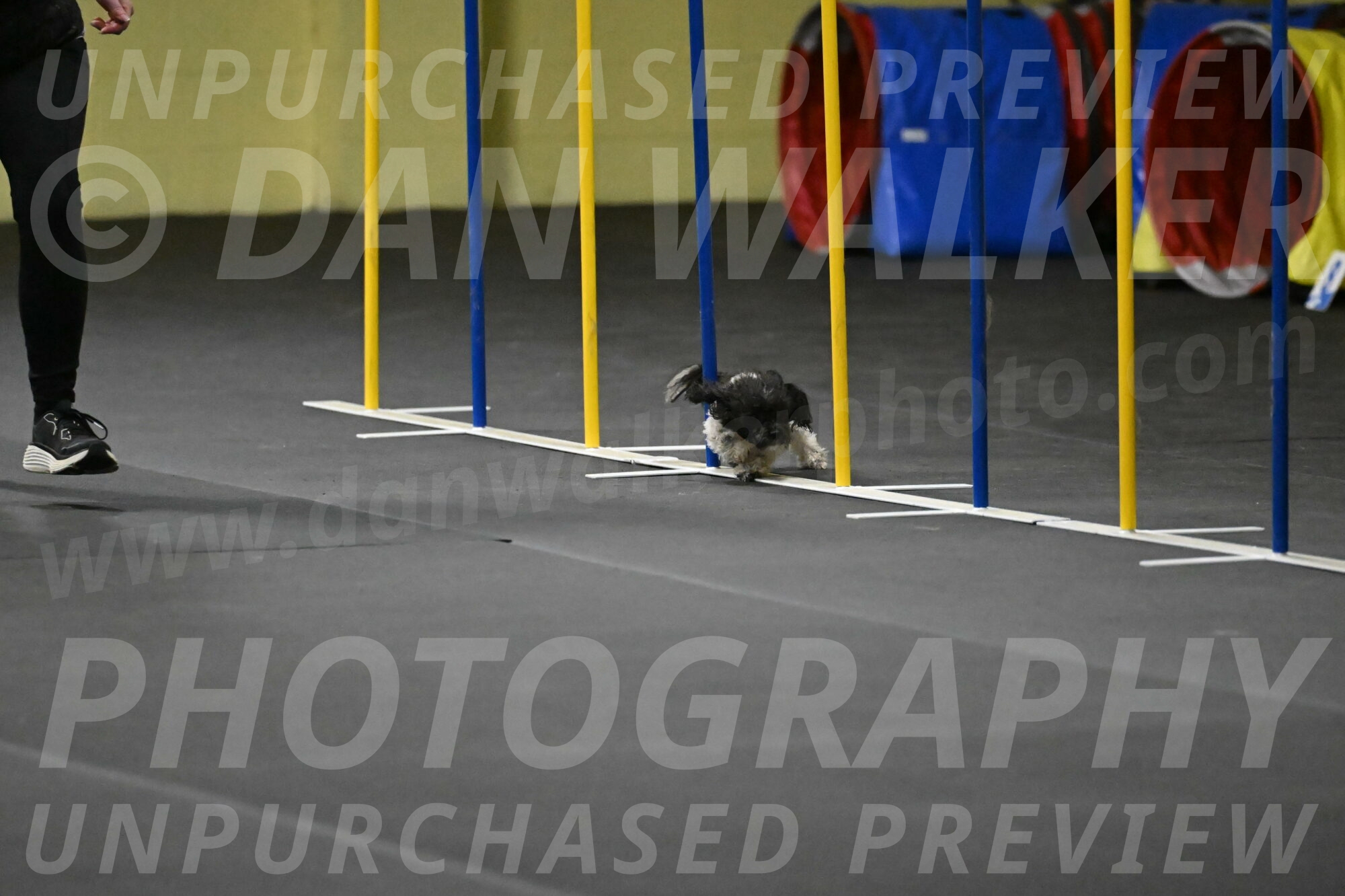 Cowboy-Bourell-Casey-08181